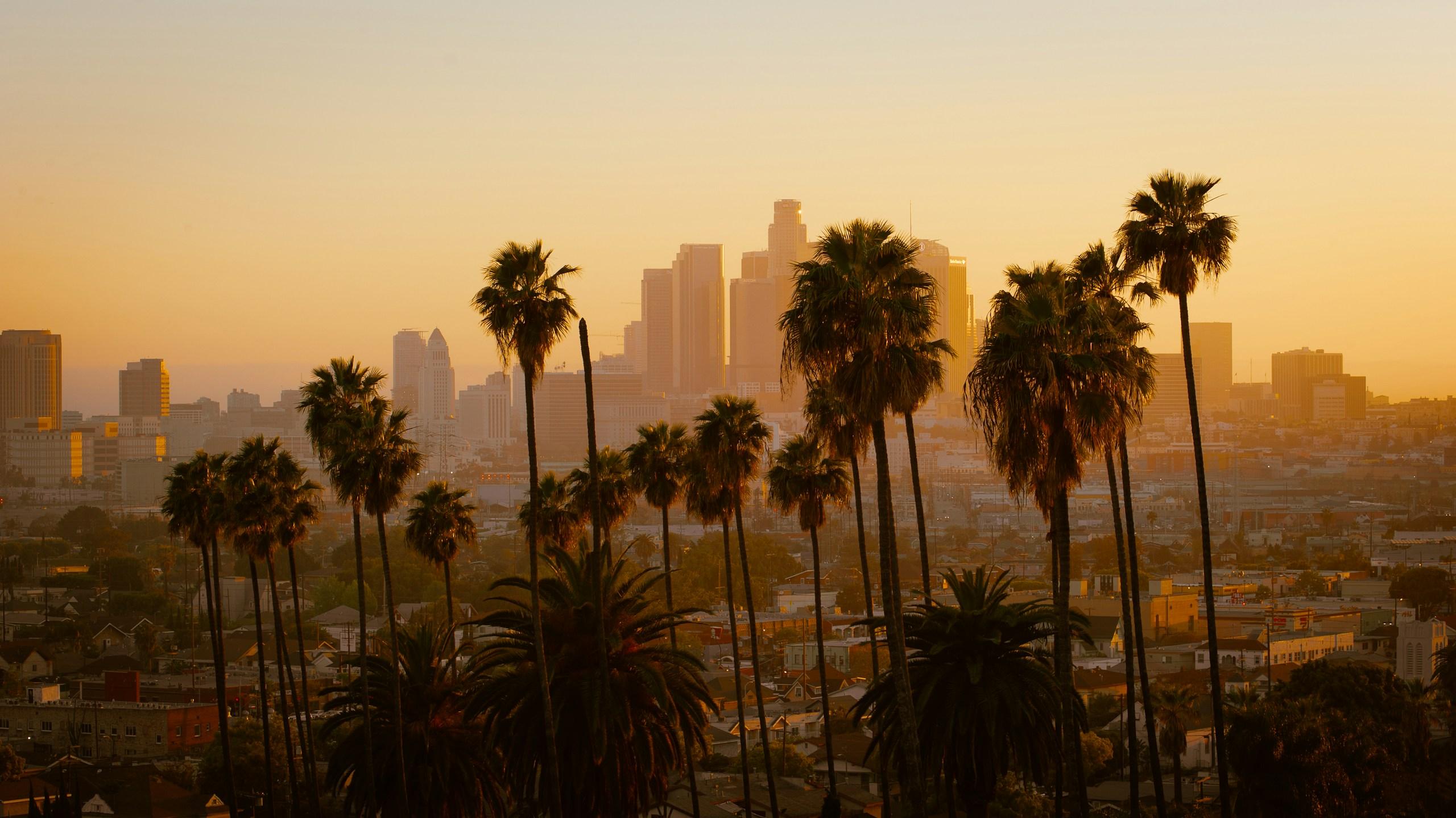 2560x1440 Living the Best California Dream: Experiencing NorCal or SoCal. The World Overload