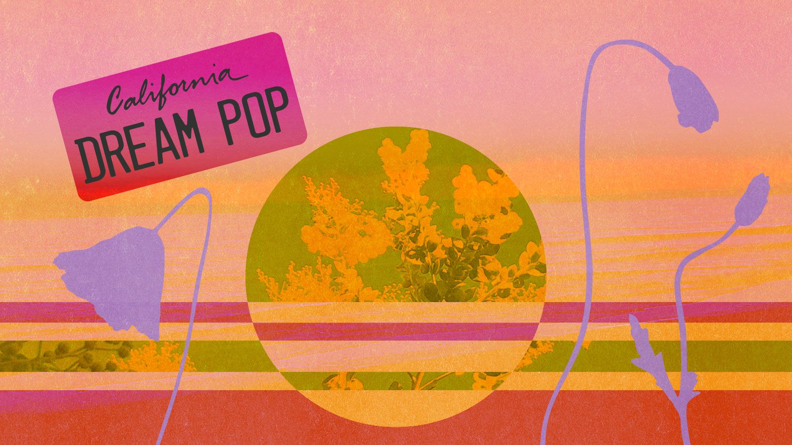 1600x900 If You Only Knew: An Introduction to California Dream Pop