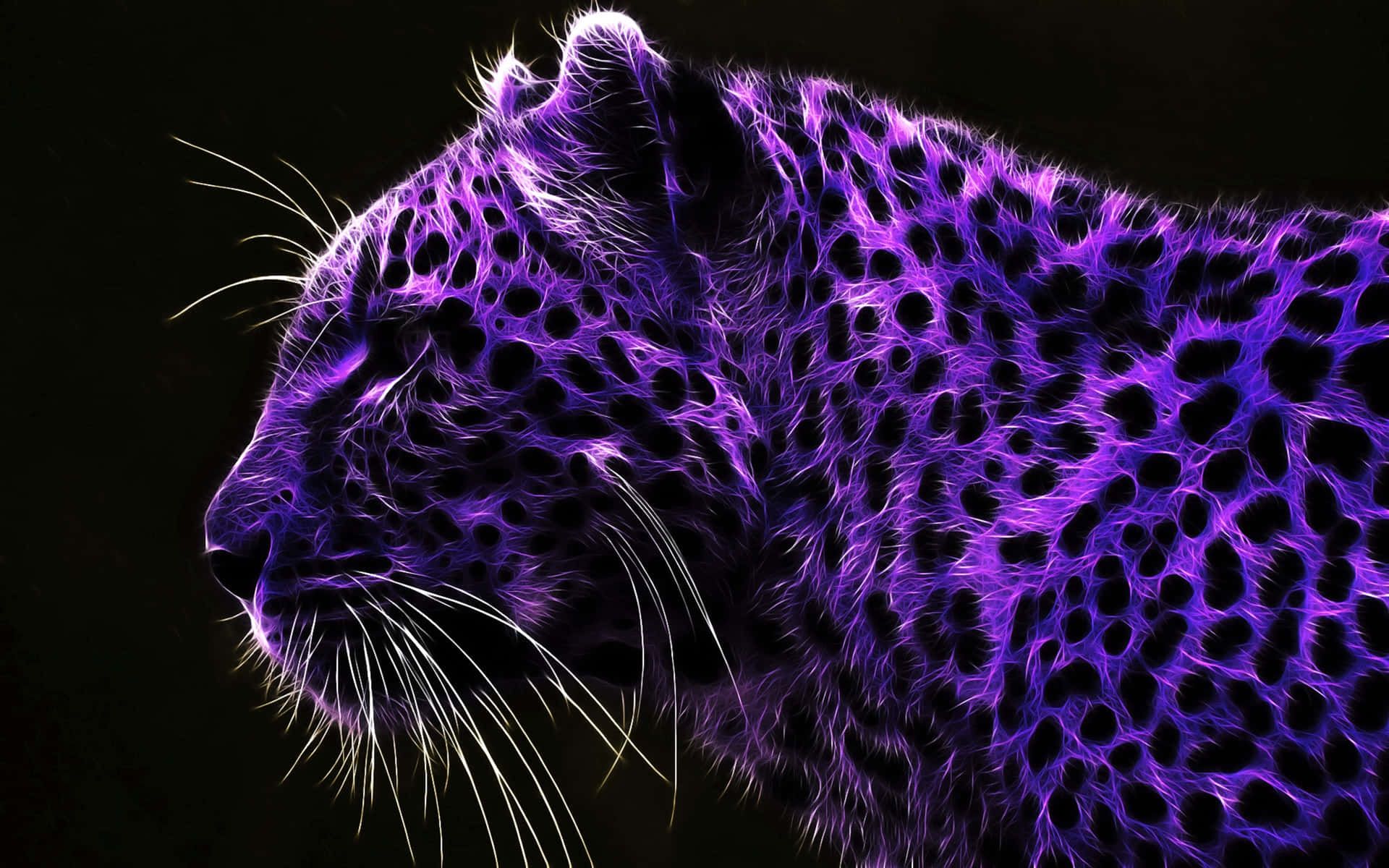 1920x1200 Purple Cool Wallpaper
