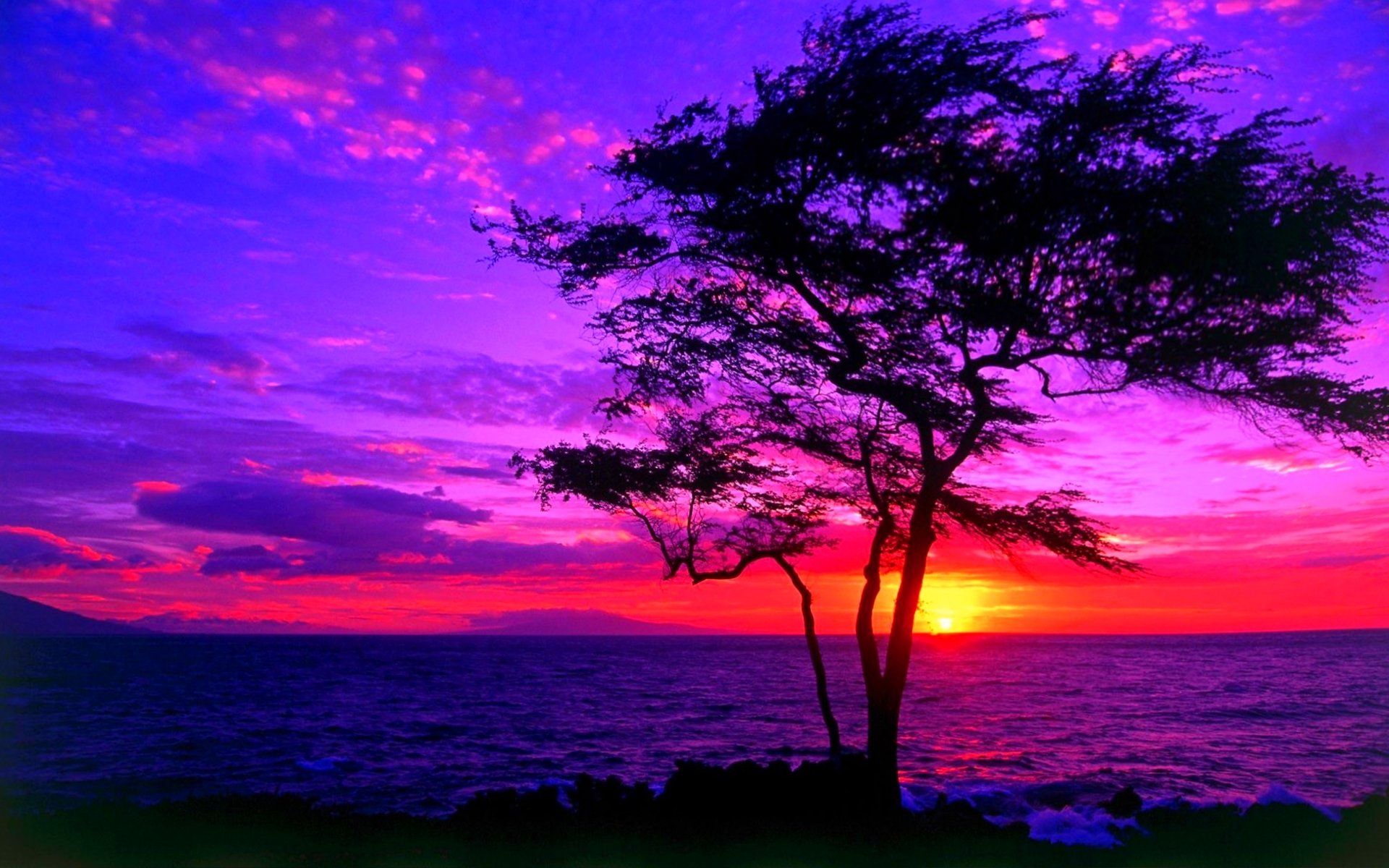 1920x1200 Purple Horizon: Stunning Nature Sunset HD Wallpaperx1200