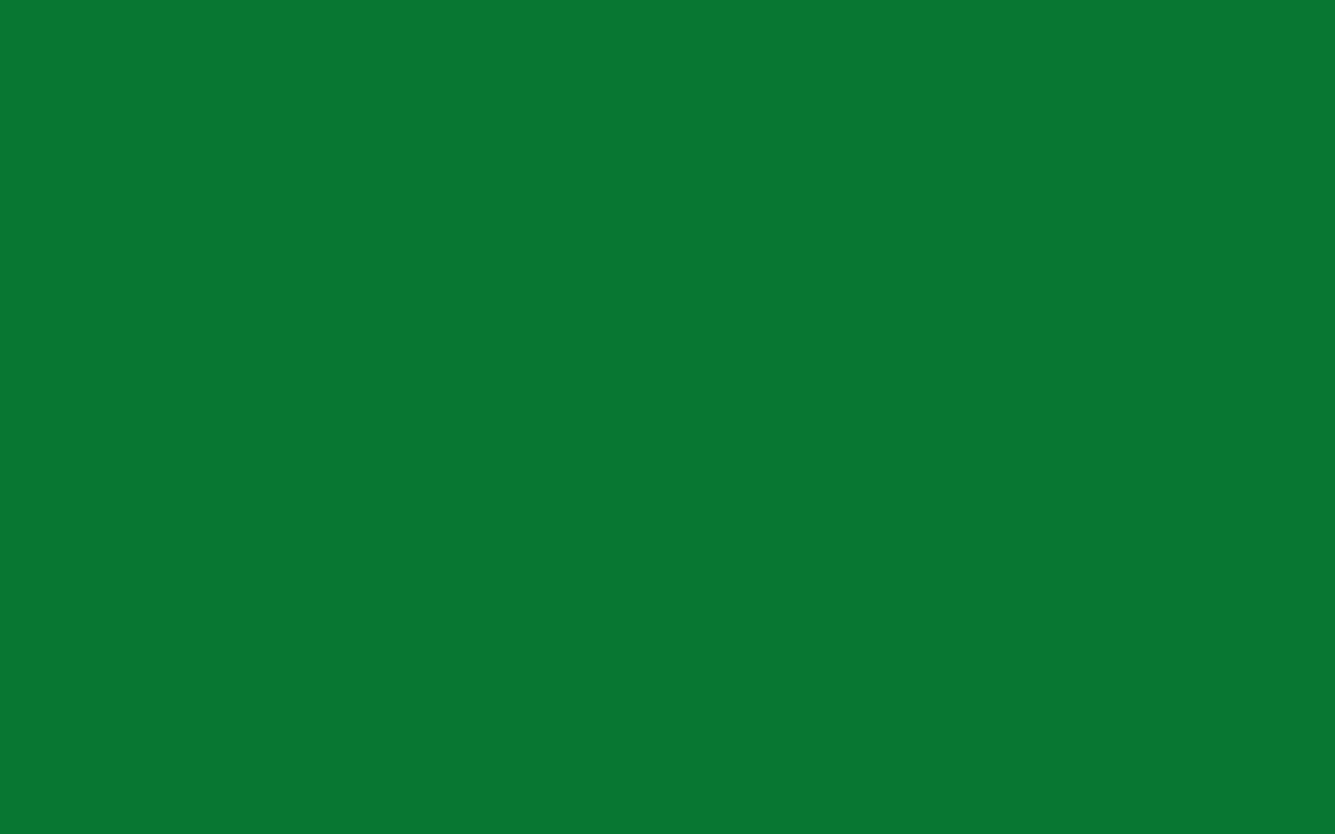 1920x1200 Solid Green Wallpaper