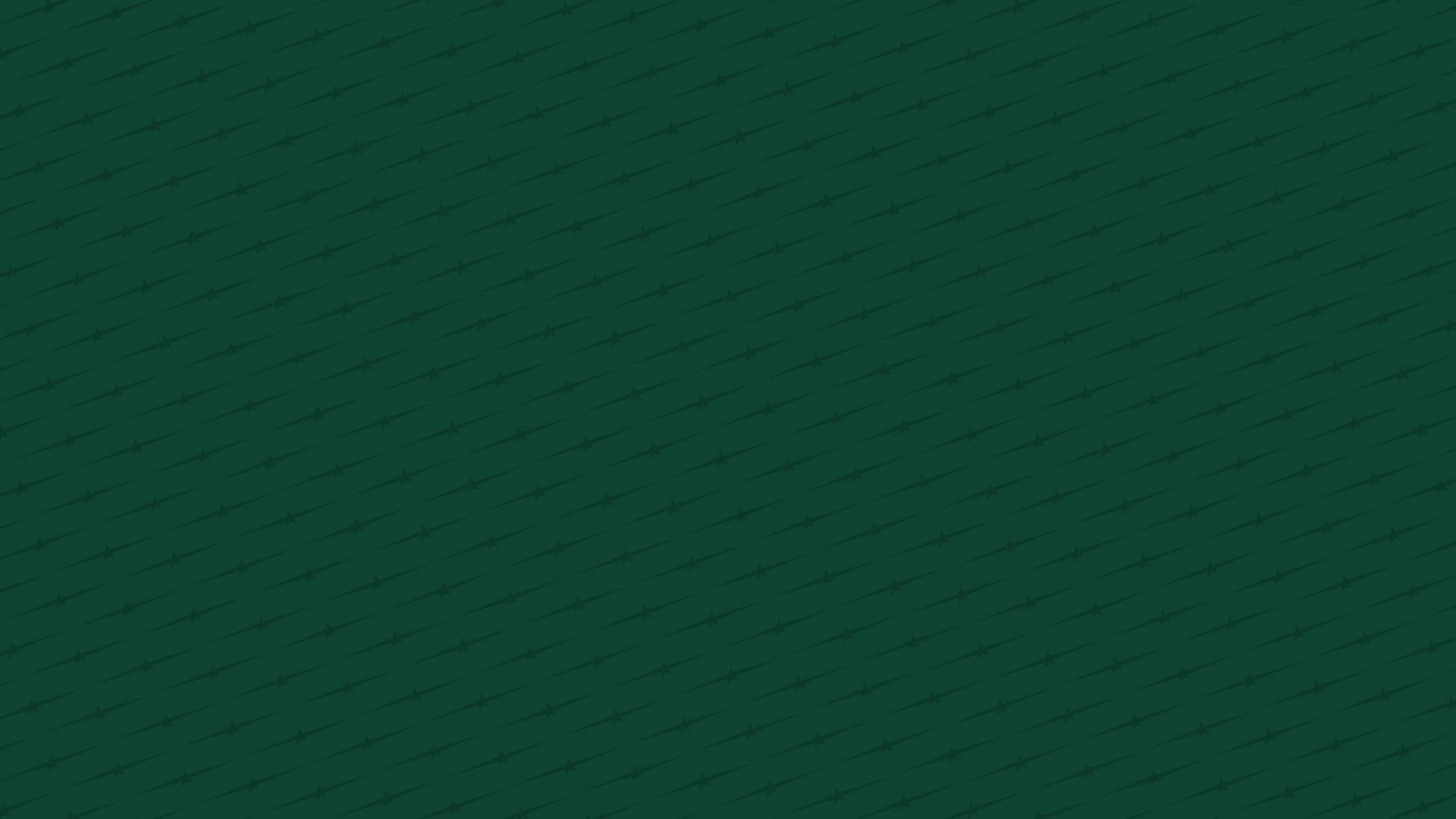 1920x1080 TRIA Rink