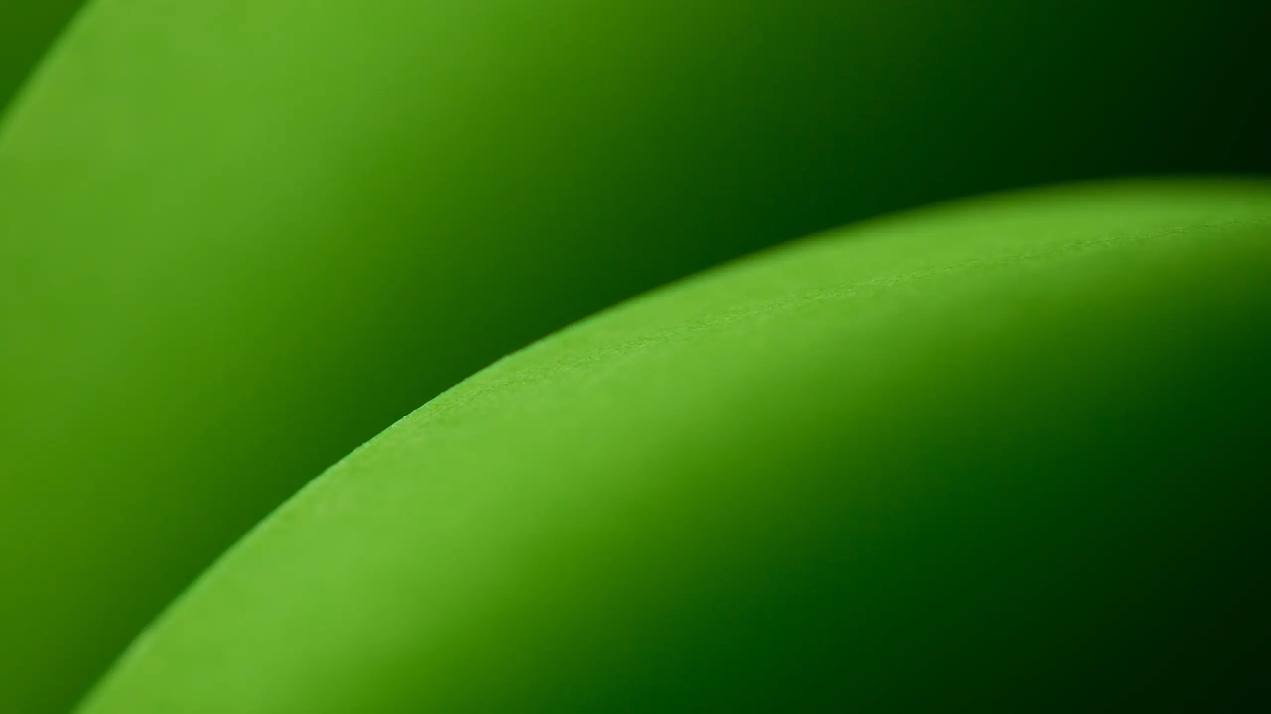 2560x1440 UPM Specialty Materials. UPM Specialty Materials