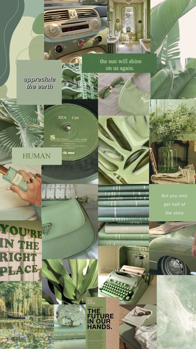 675x1200 sage green aesthetic