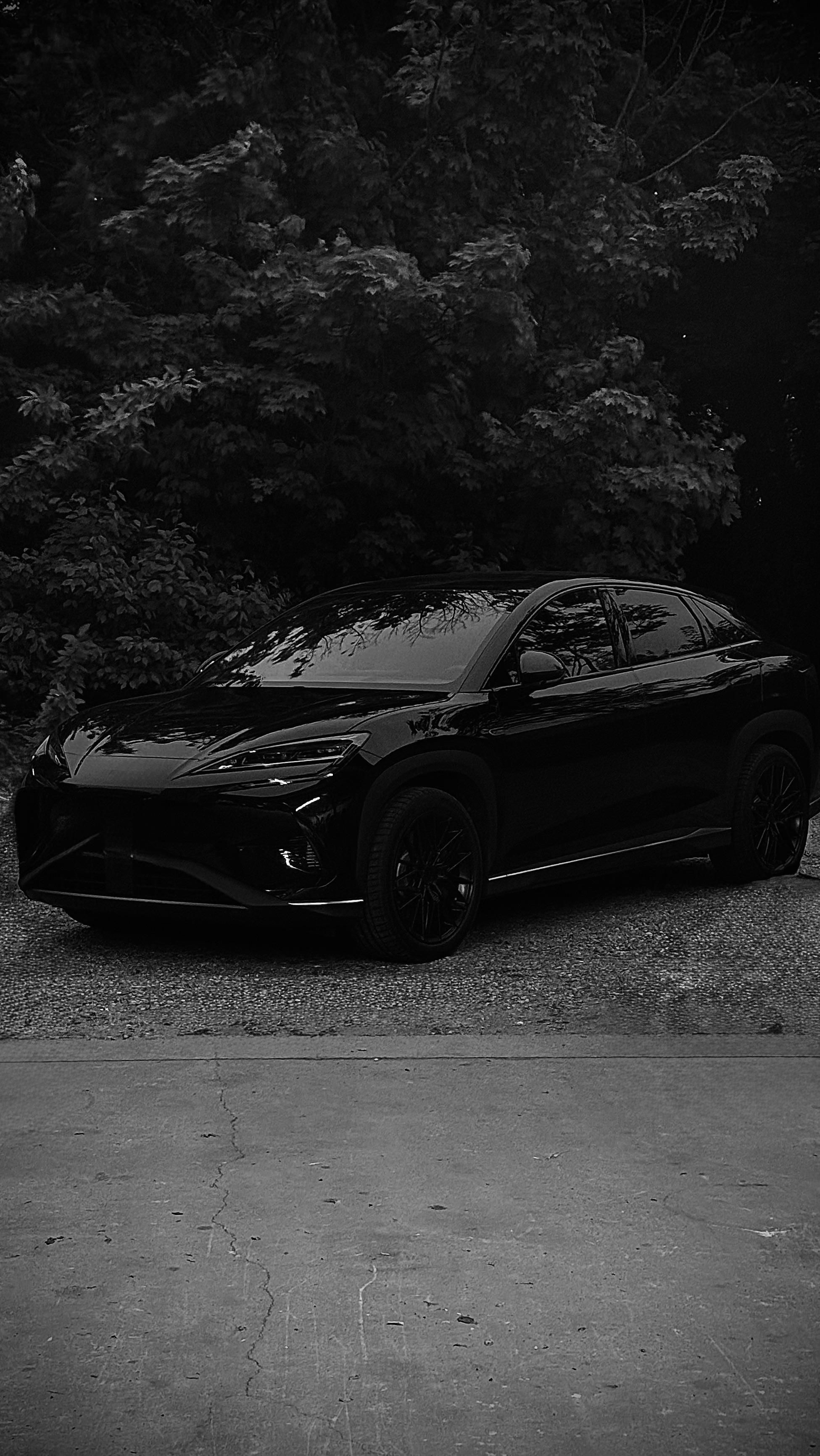 1951x3467 My new sealion 7 Black