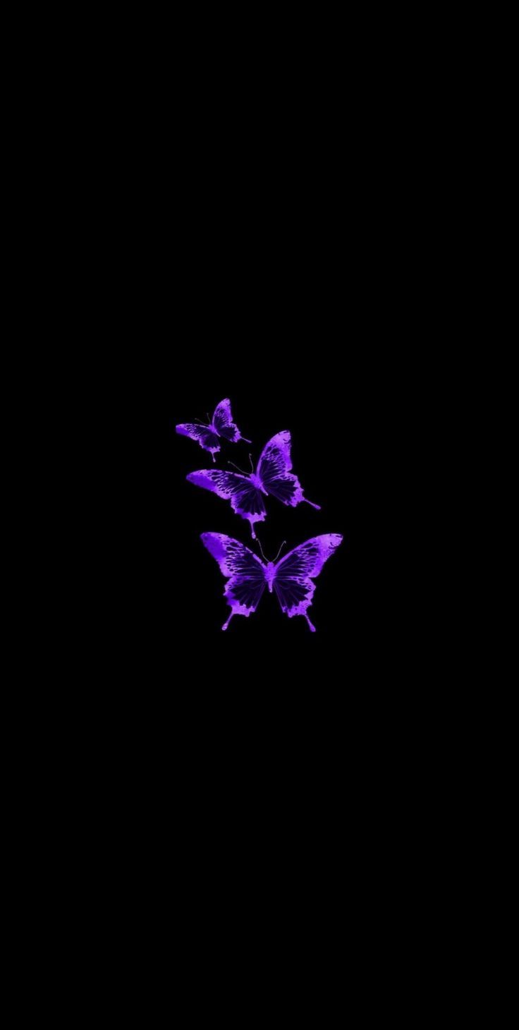 736x1460 Pin em iPhone wallpaper. Black and Purple Wallpaper. Black and purple background, Whats wallpaper, Purple butterfly wallpaper