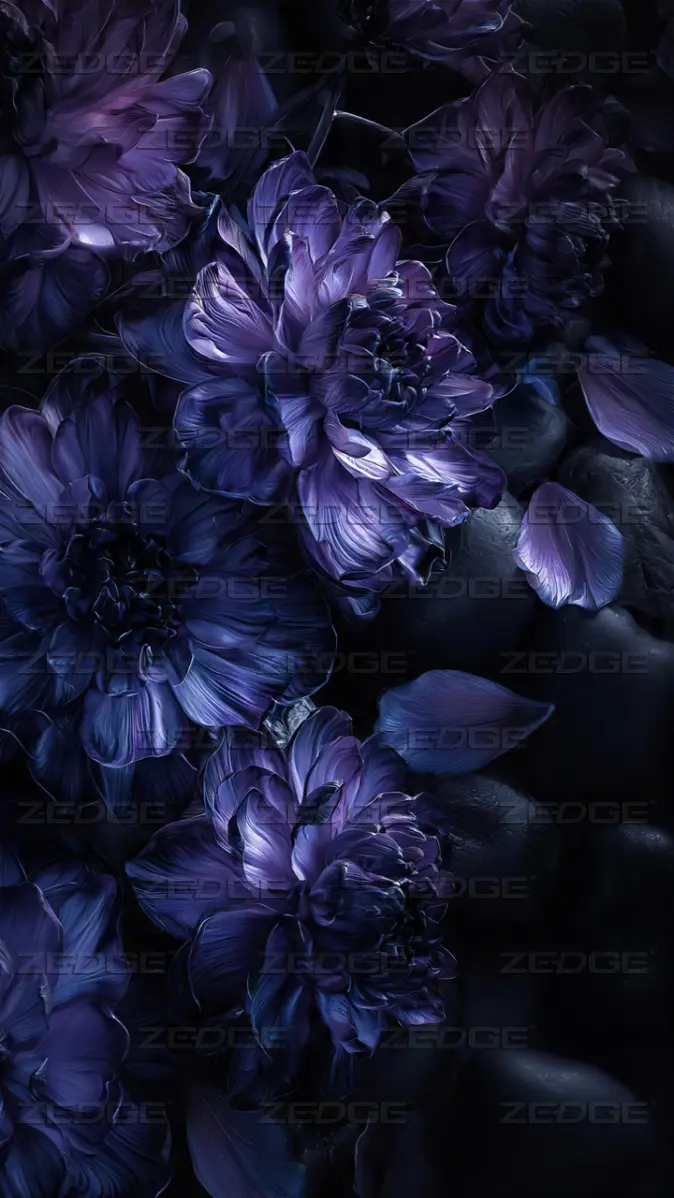 674x1198 Dark Purple Flowers Realistic Nature Minimalist Aesthetic Wallpaper wallpaper