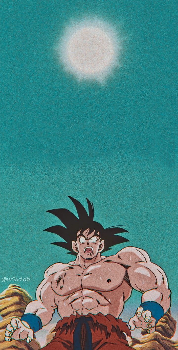 720x1413 Son Goku (孫そん悟ご空くう)