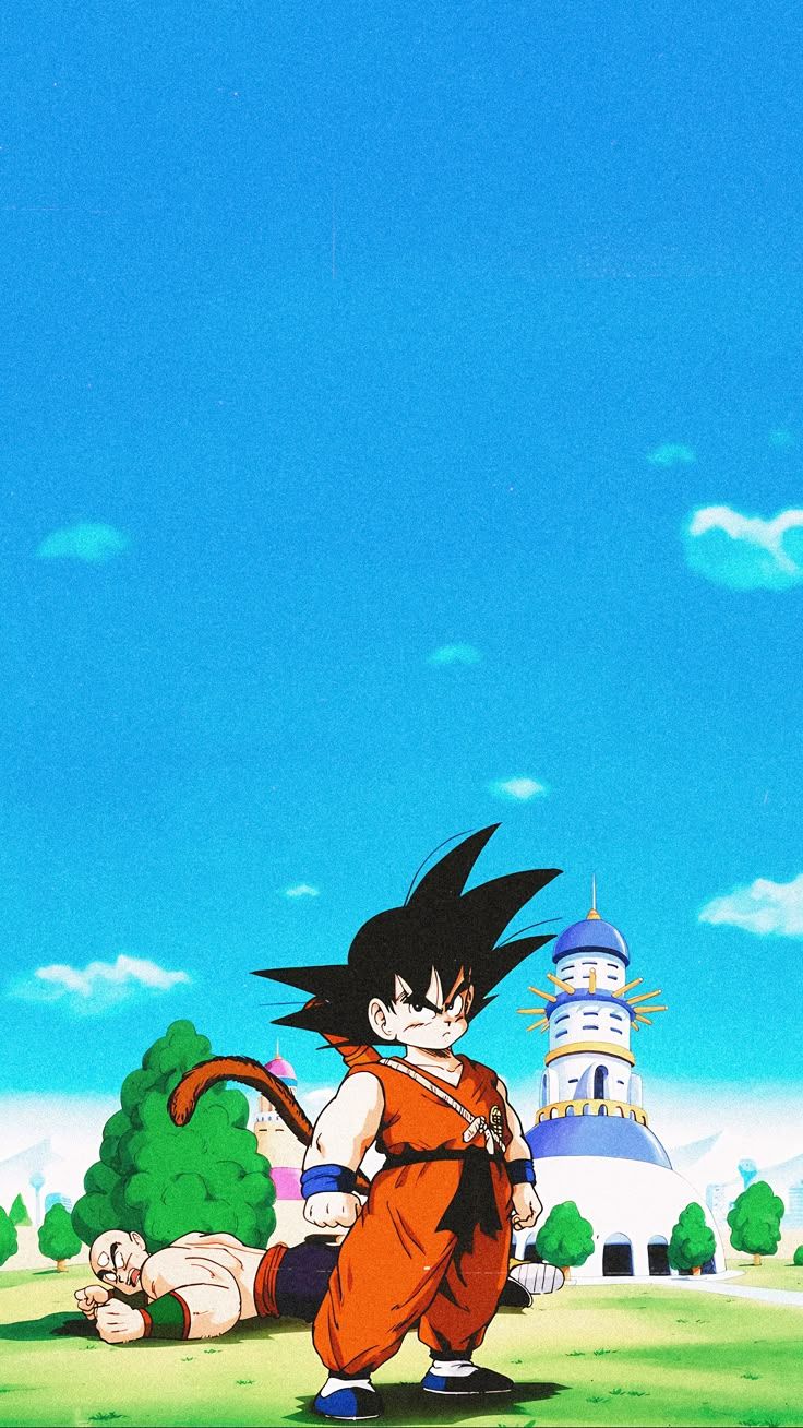 736x1308 dragonball