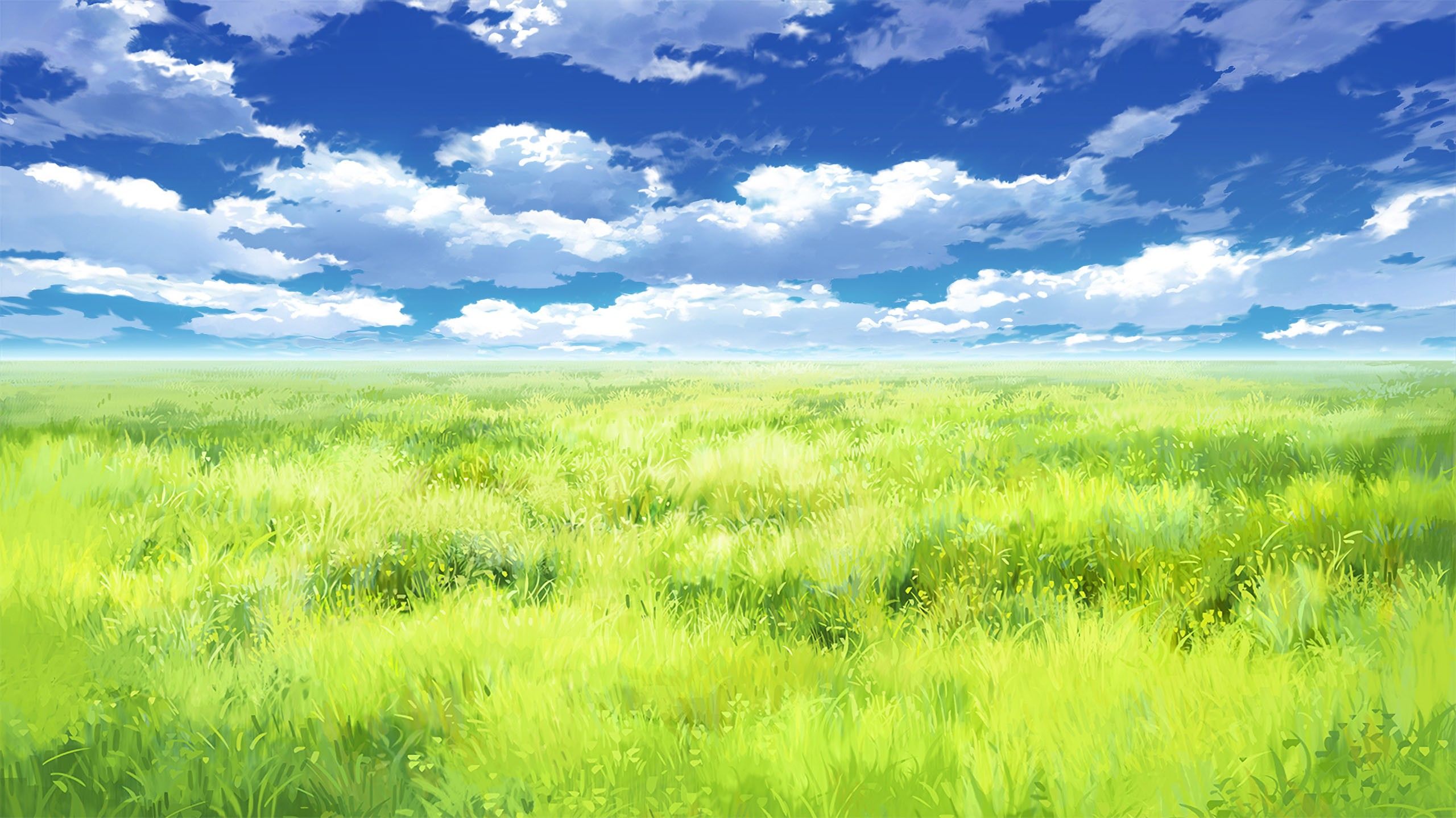 2560x1440 Anime Scenery Nature Grass Field White Clouds Blue Sky HD Anime Girl Wallpaper