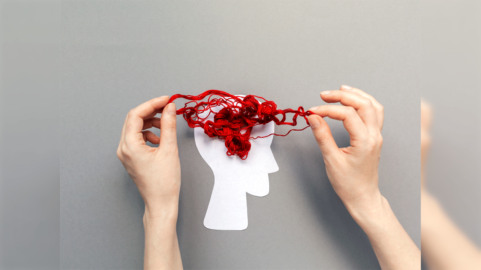 1600x900 Is your brain losing you money? 8 questions to understand if you have investment biases, how to avoid them Economic Times