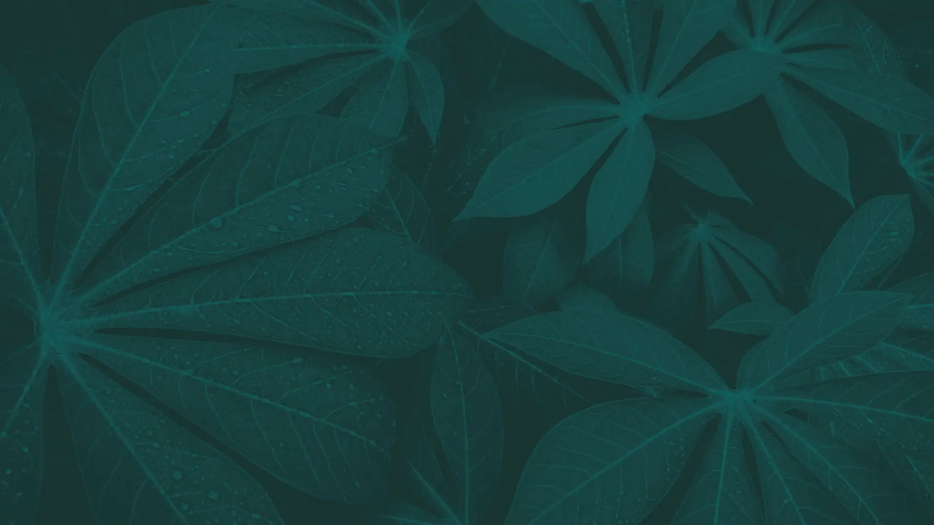 1920x1080 Home Ag One