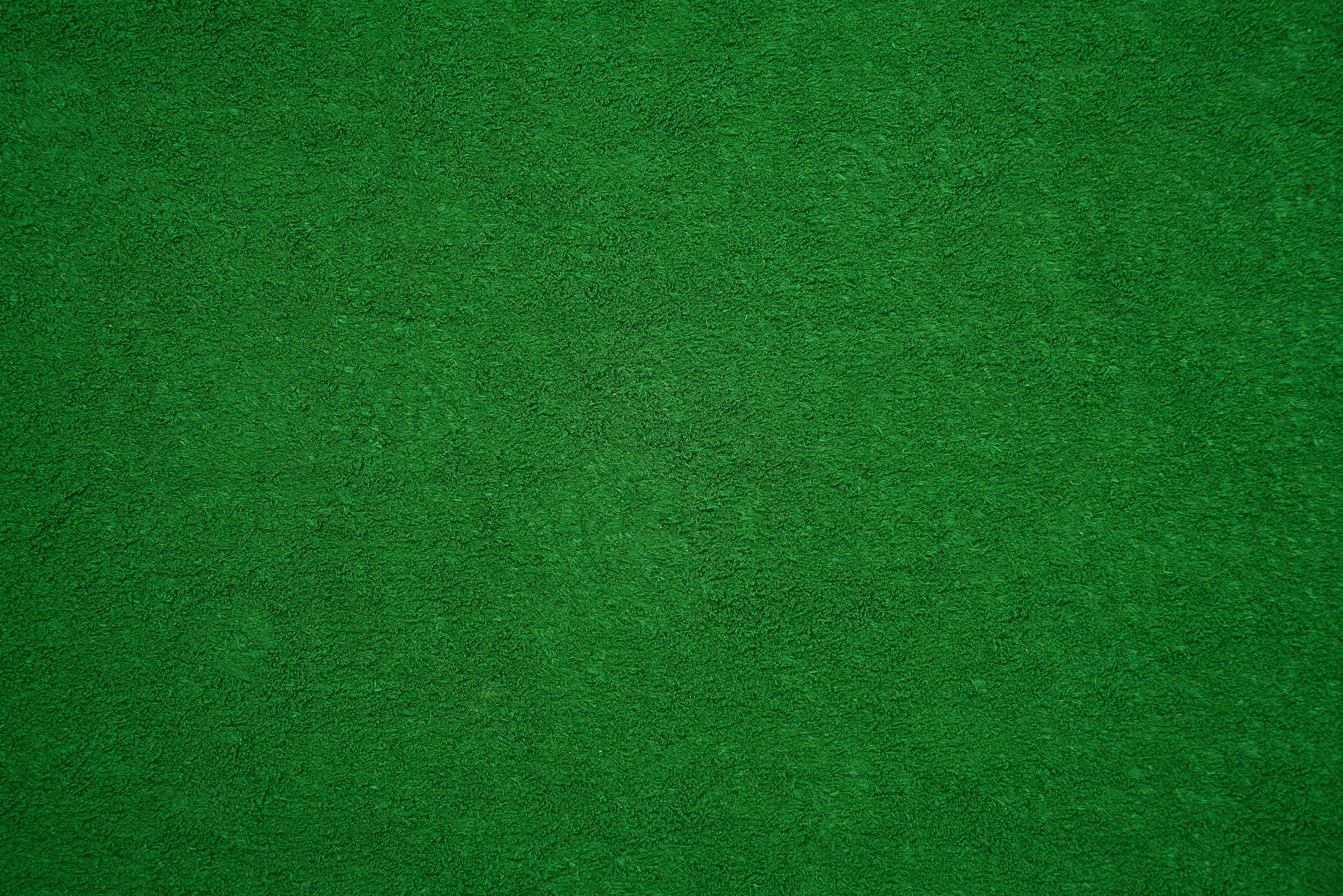 3000x2001 Green Wallpaper Picture Creators
