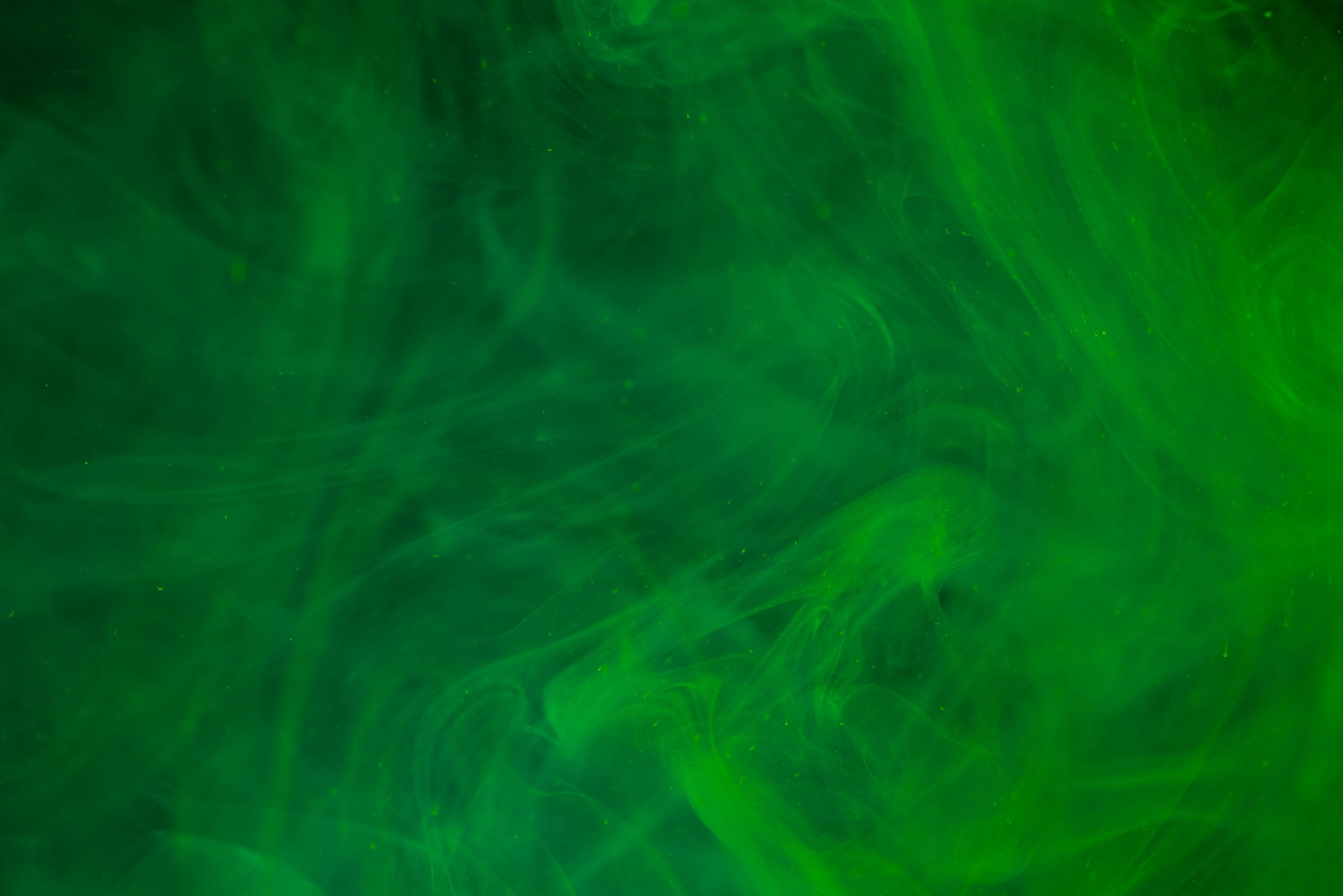 3000x2001 Green Wallpaper Picture Creators