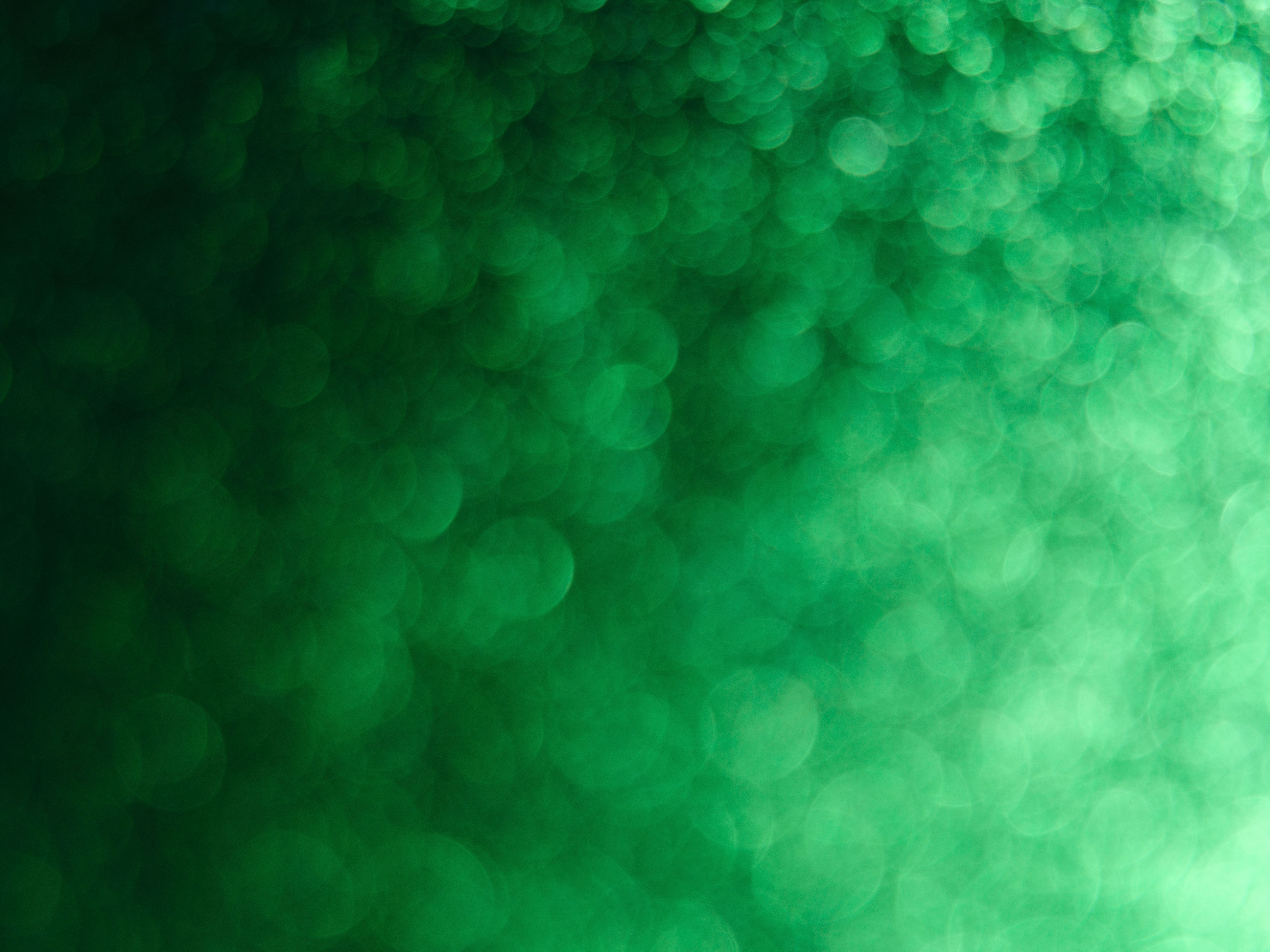 8944x6708 Green Wallpaper Photo, Download The BEST Free Green Wallpaper & HD Image