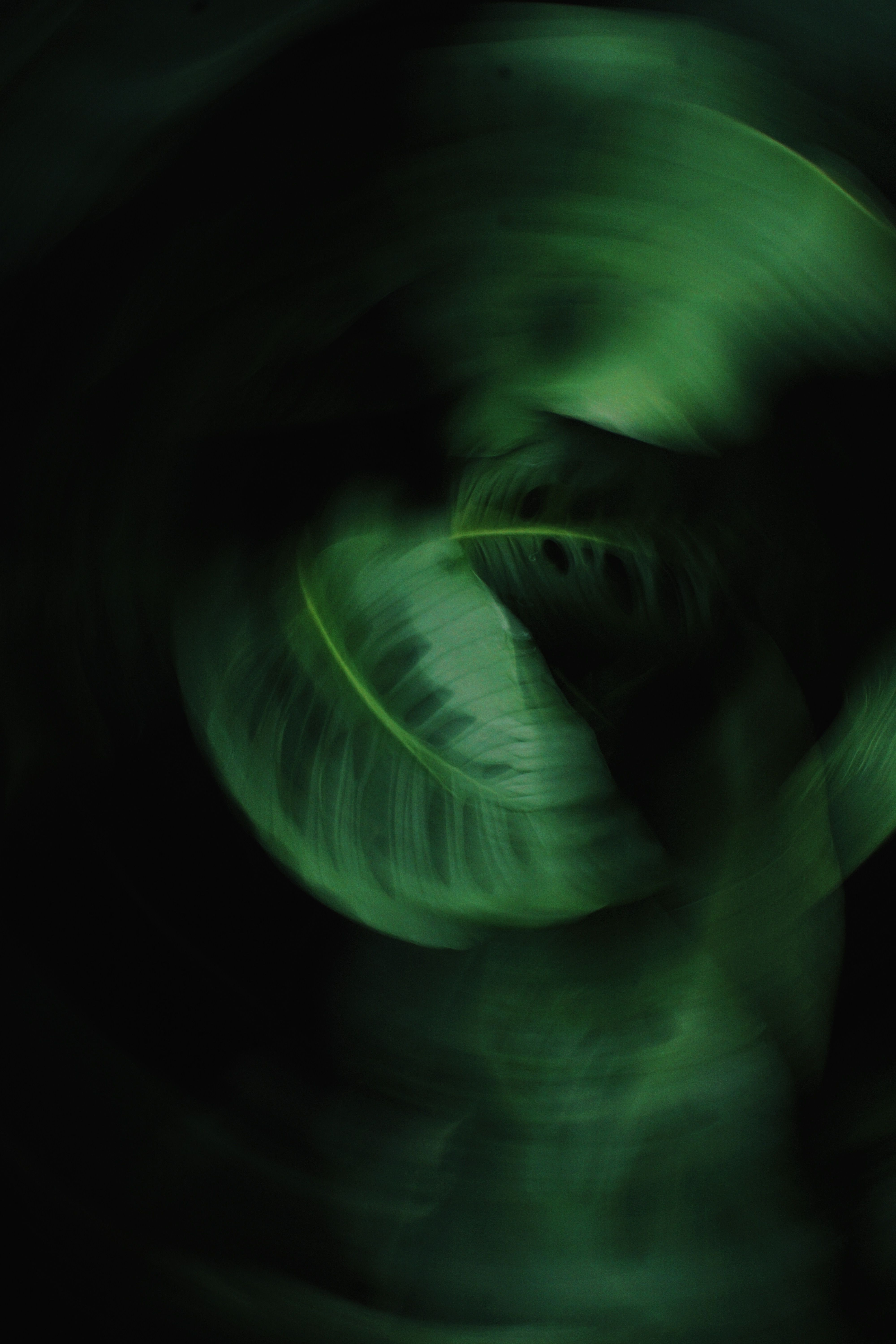 4000x6000 Green Wallpaper Photo, Download The BEST Free Green Wallpaper & HD Image
