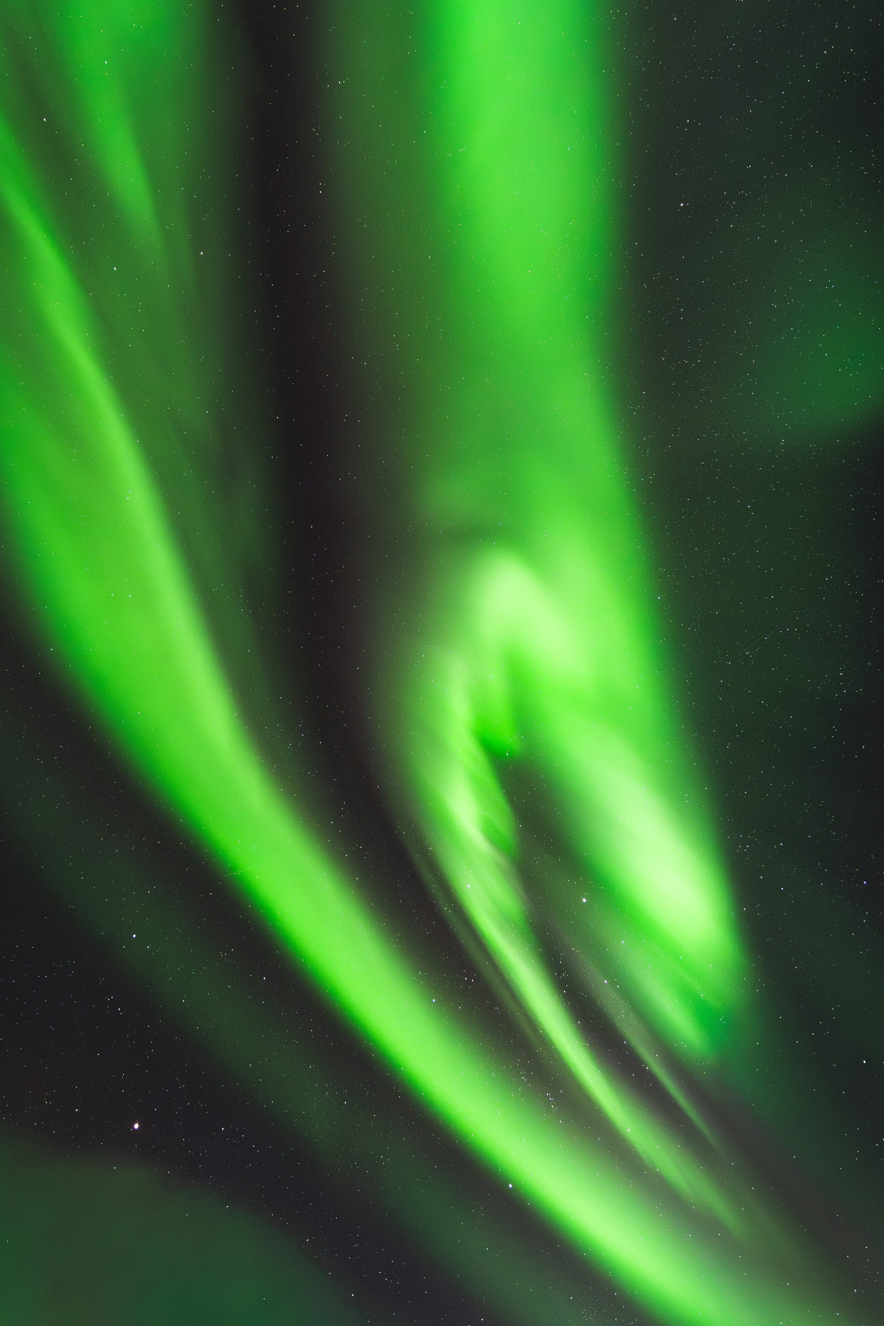 3000x4500 Vibrant green aurora borealis lights up a starry night sky