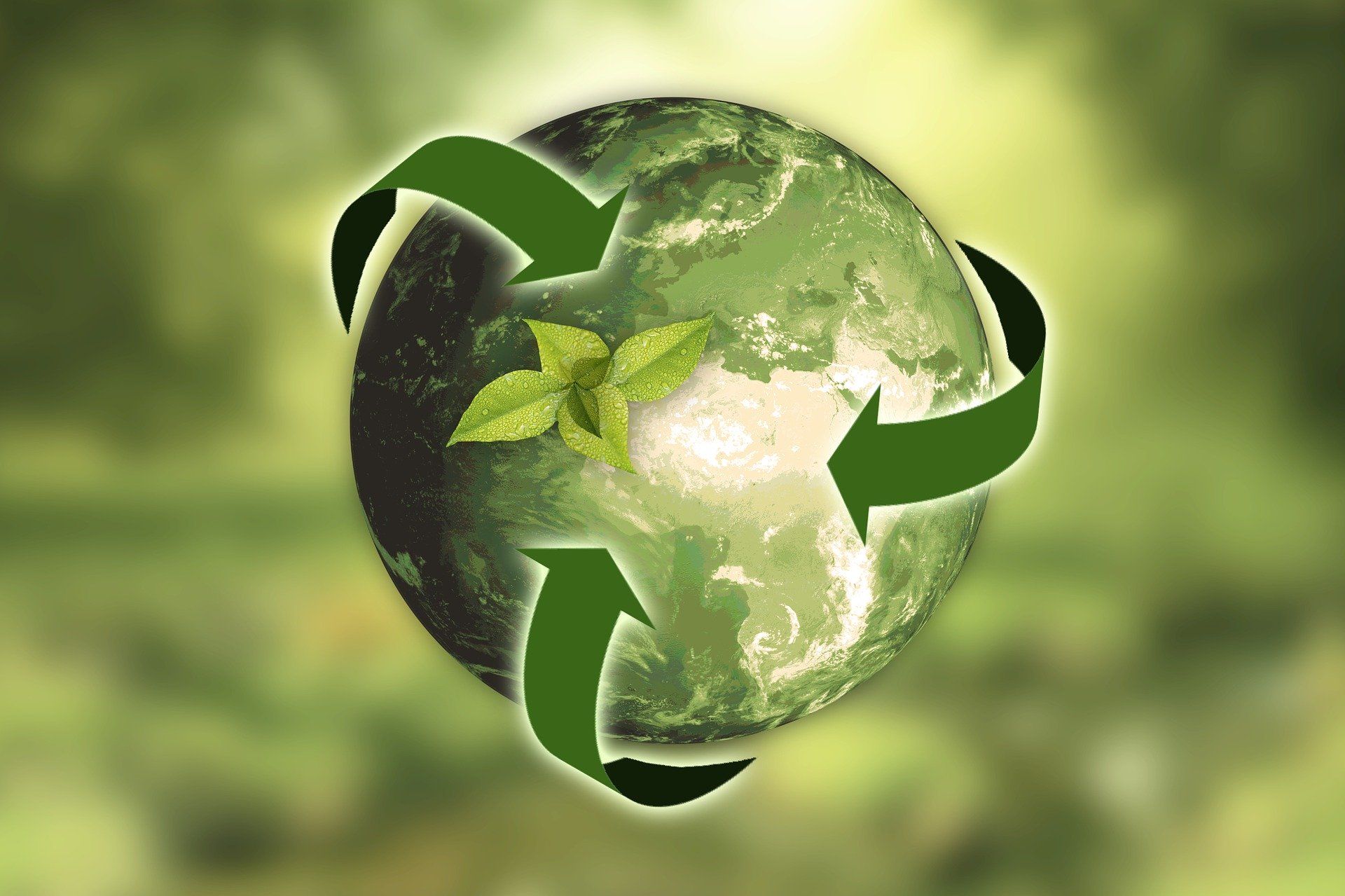1920x1279 Environmentally sustainable research is the only way forward