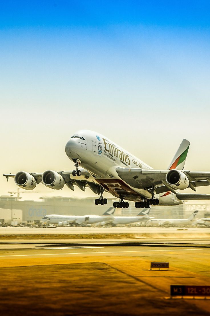 736x1105 Stop Dreaming. Start Flying