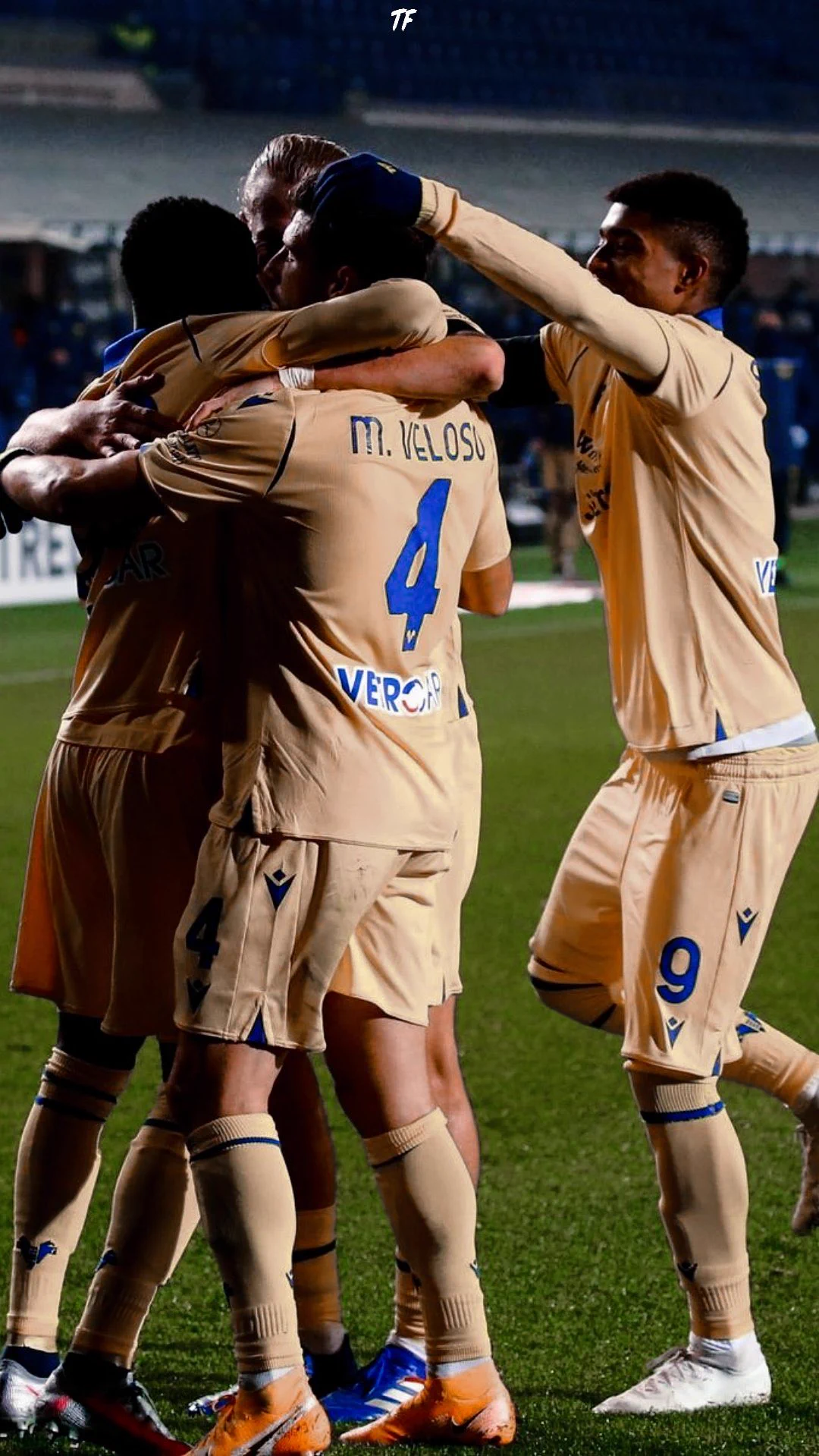 1080x1919 TF Sport Edit (desativado!) on X: Hellas Verona. Wallpaper. Header # HellasVerona #Calcio #SerieA / X