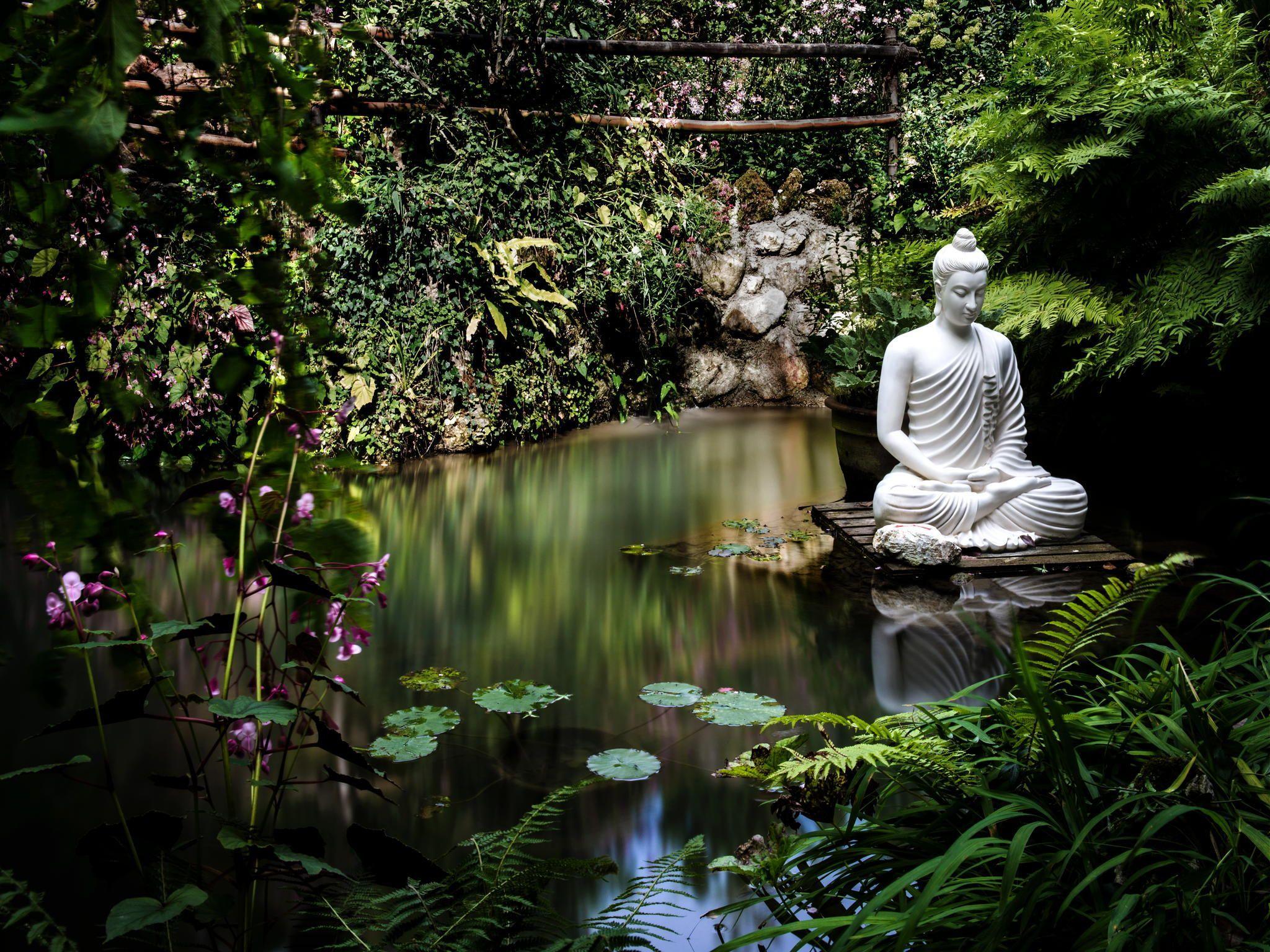 Zen Garden Buddha Wallpaper