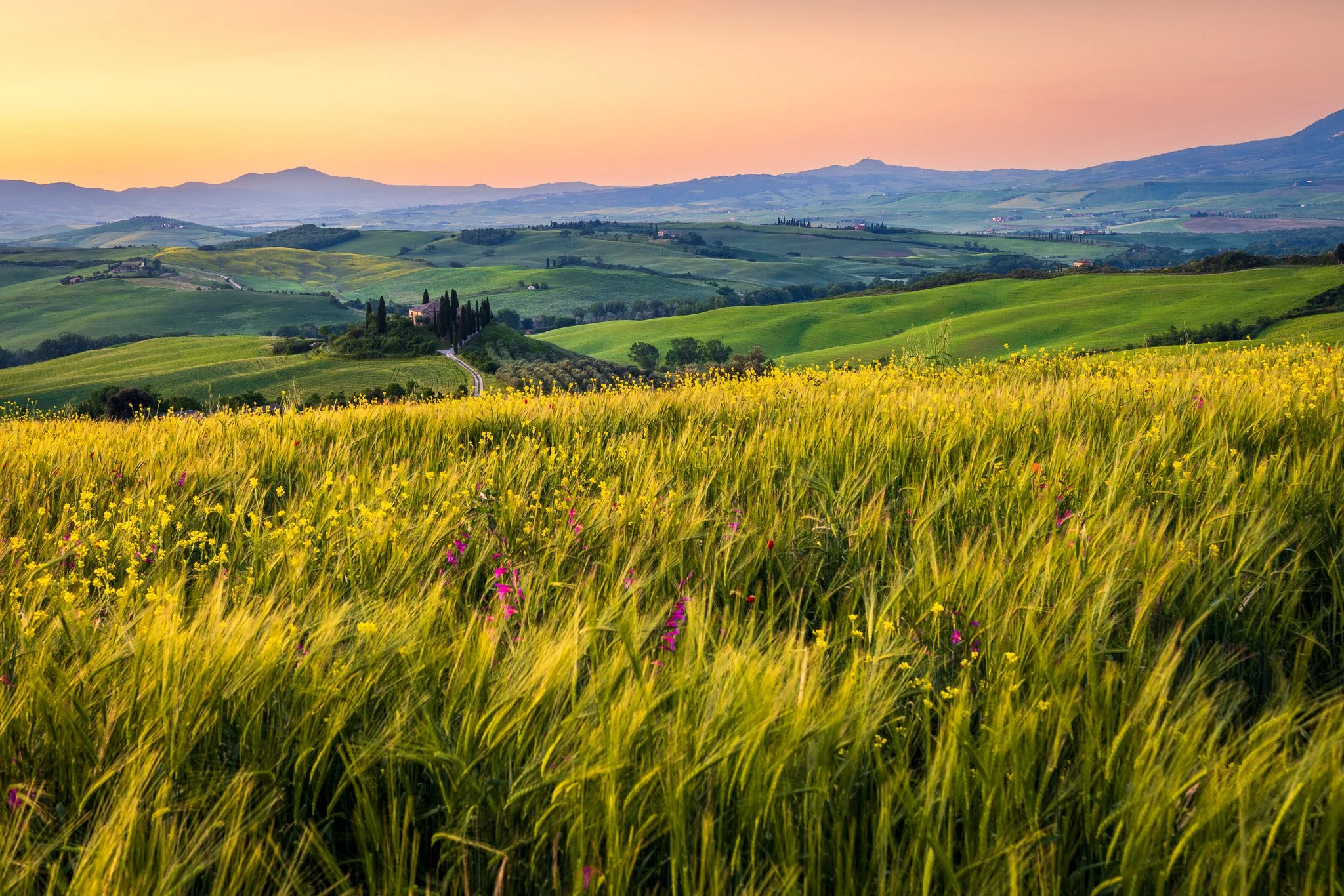 2048x1366 Tuscany's Val d'Orcia Photography Guide: Cypress Trees & Rolling Hills