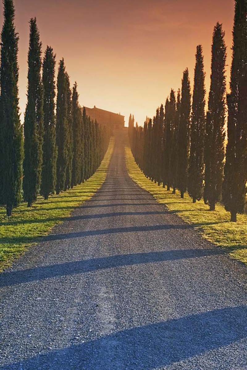 800x1200 Val d'Orcia Isabella Experience