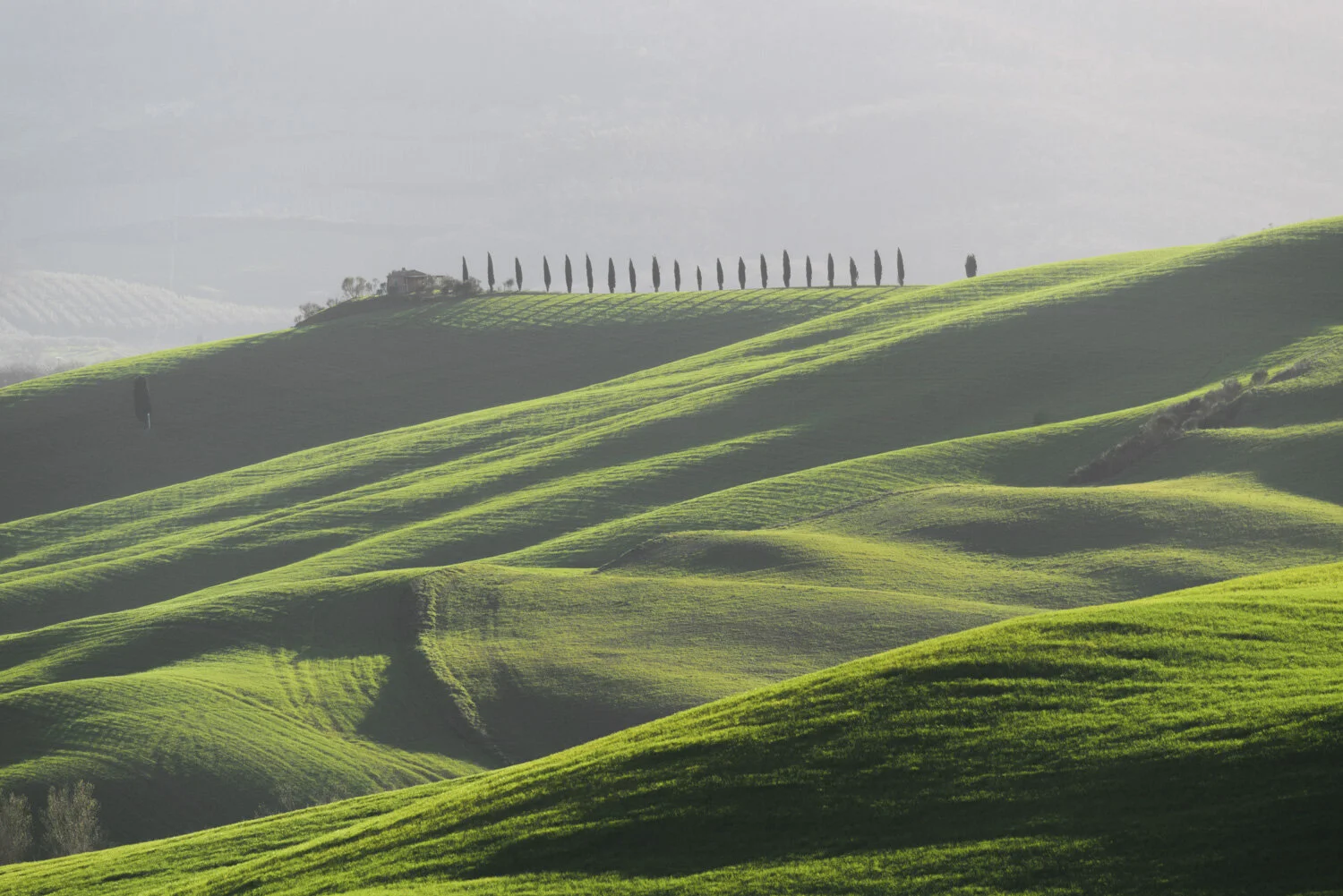 1500x1001 Val d'Orcia striking views: photography tips