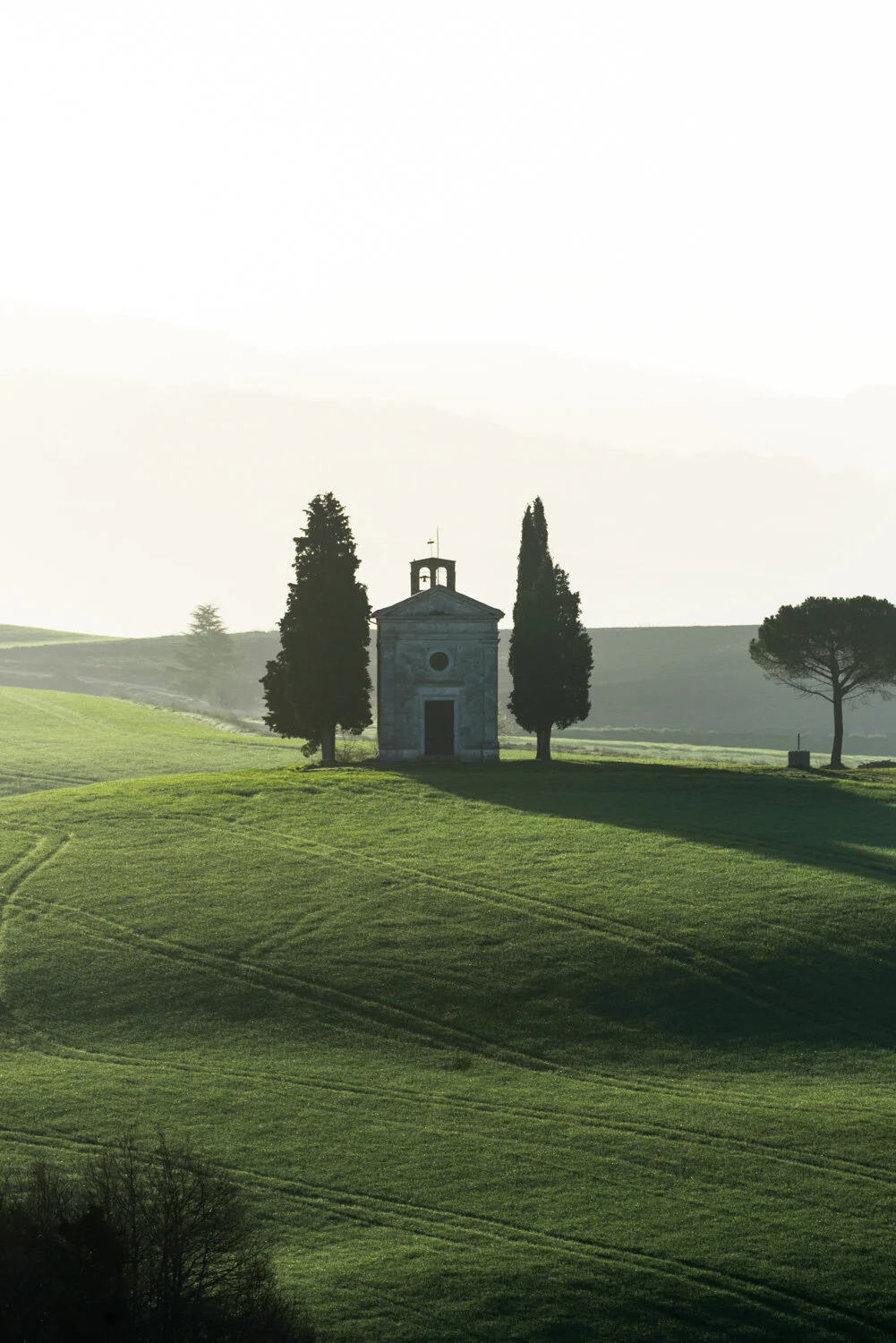 1001x1500 Val d'Orcia striking views: photography tips