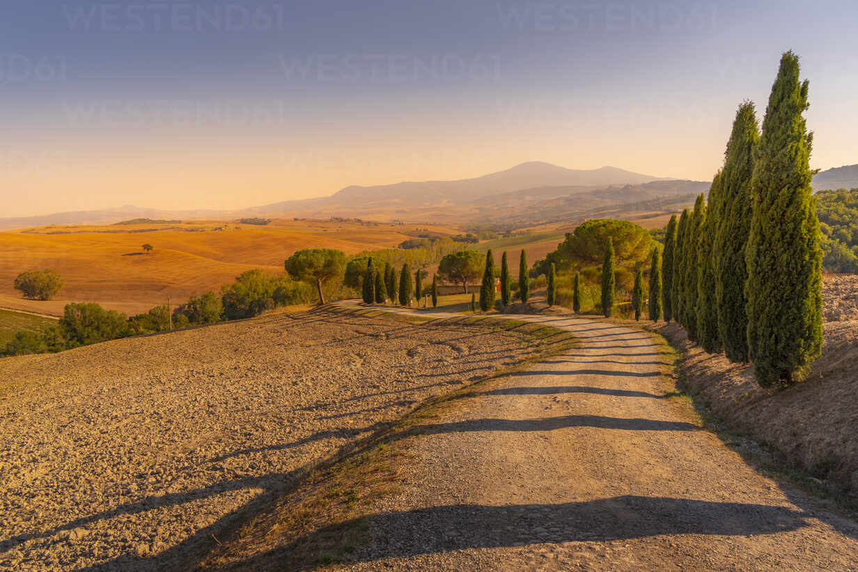 1232x822 View of cypress trees and landscape in the Val d' Orcia near San Quirico d' Orcia, UNESCO World Heritage Site, province of Siena, Tuscany, Italy, Europe