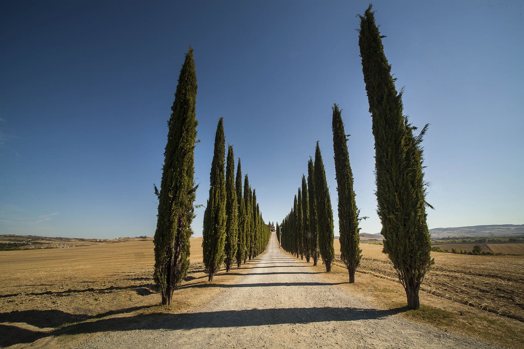 1685x1123 The photographic archive of Val d'Orcia