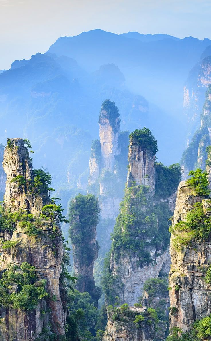 736x1190 Scenic Wulingyuan Rocky Forests in Hunan Province, China. Wulingyuan national park, Zhangjiajie national forest park