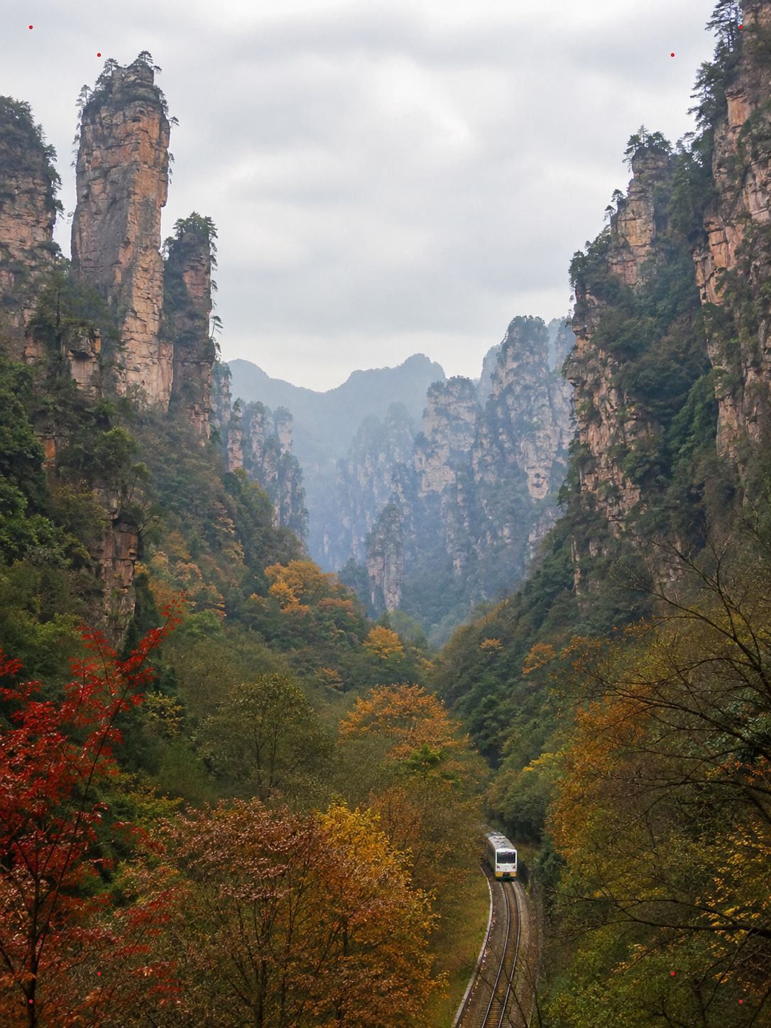 1086x1448 Zhangjiajie Wulingyuan: See the sea of clouds and unique peaks in autumn and winter. Trip.com Zhangjiajie