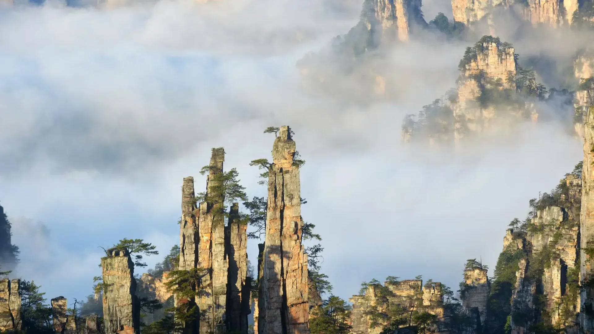1920x1080 Three nights in Wulingyuan: the Avatar peaks, a ¥236 ticket