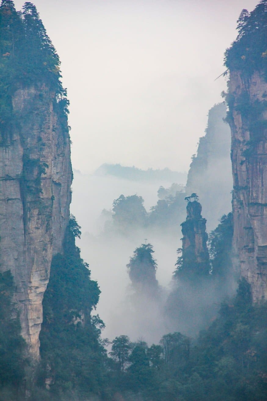 875x1313 Wulingyuan Avatar Forest
