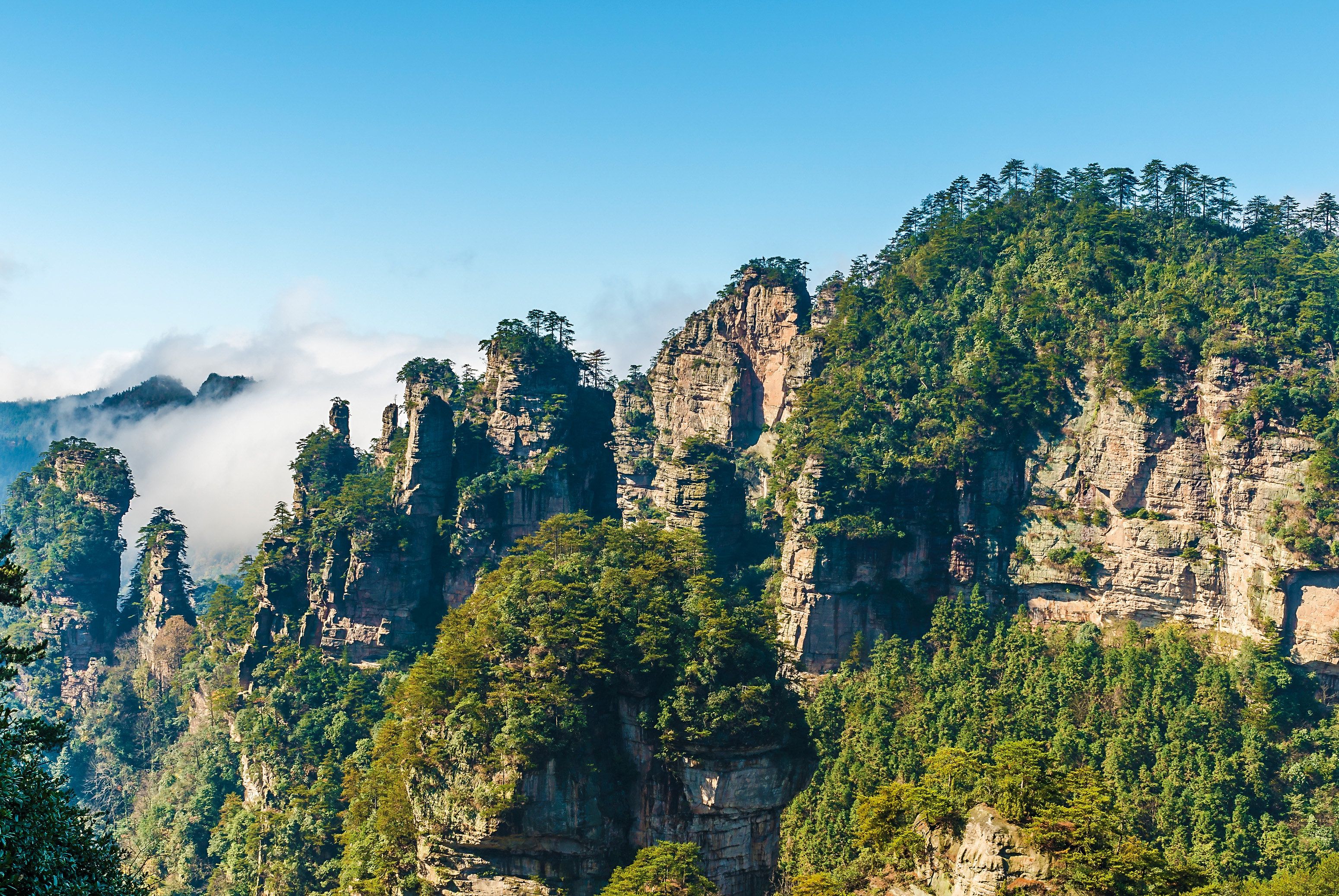 3100x2076 Wulingyuan National Park Wallpaper