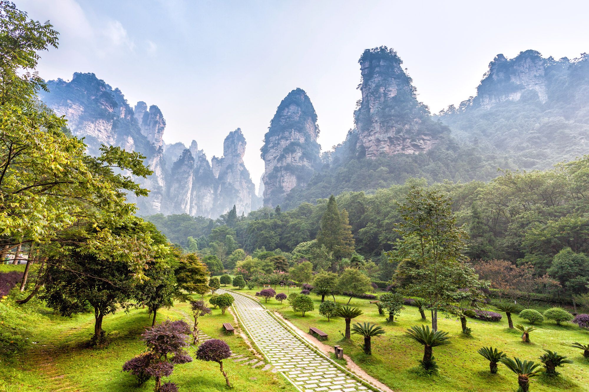 2000x1333 Wulingyuan National Park Wallpaper