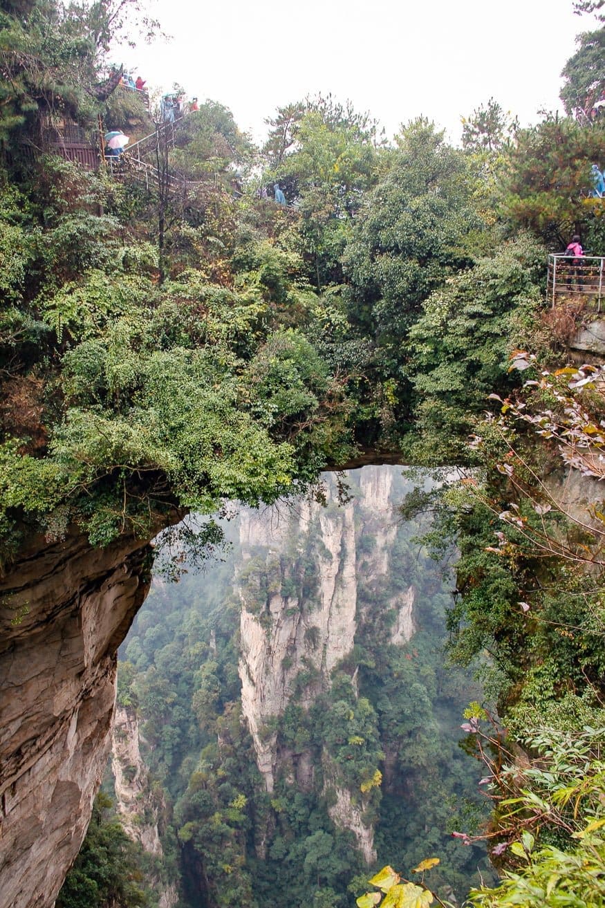 875x1313 Wulingyuan Avatar Forest