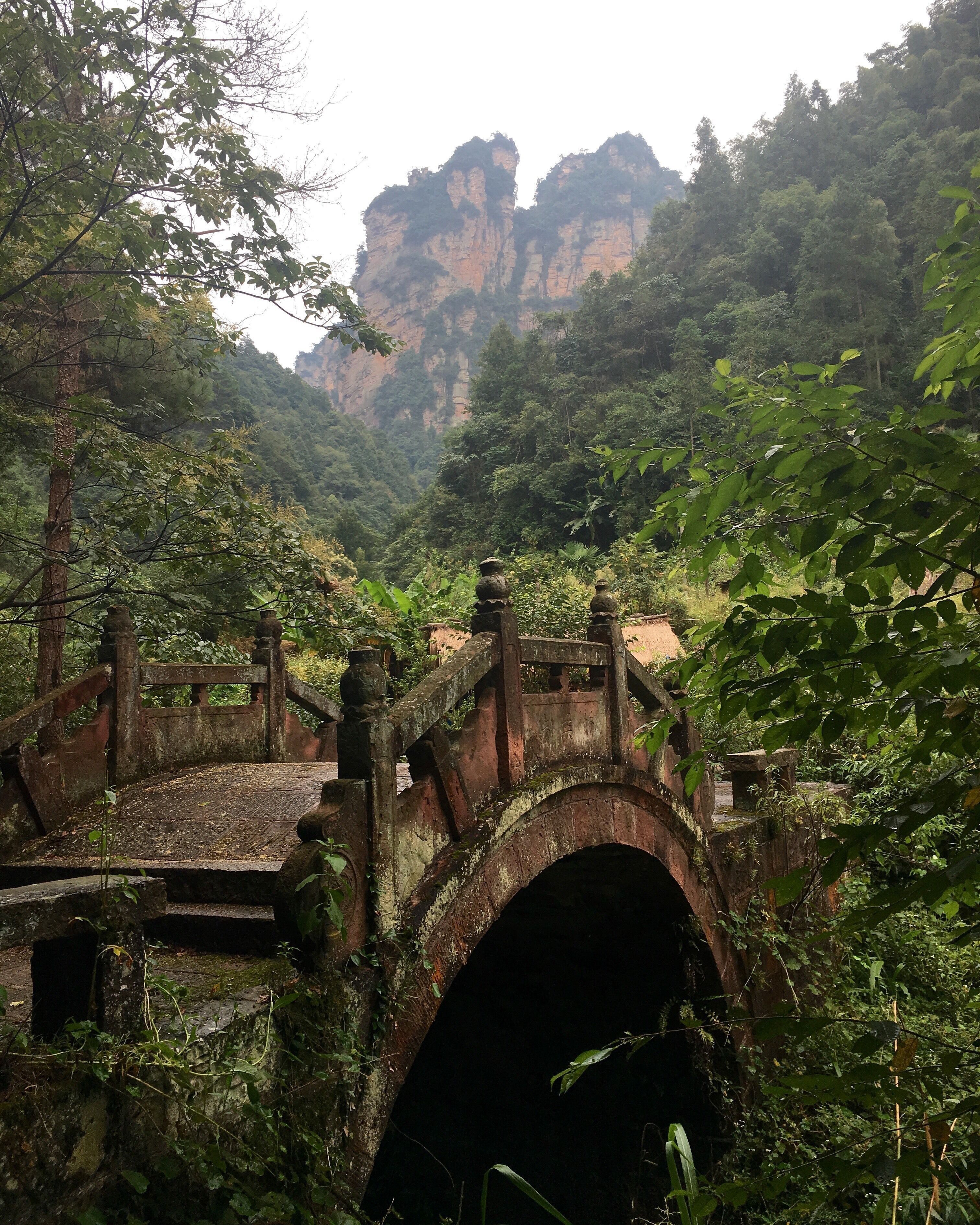 3024x3778 Wulingyuan Scenic Area Tours