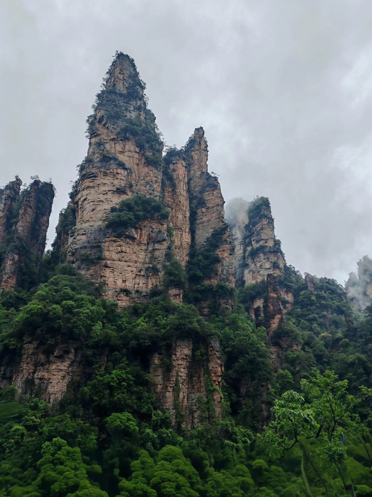 1439x1920 Zhangjiajie after the rain is breathtaking! Save this Wulingyuan guide. Trip.com Zhangjiajie
