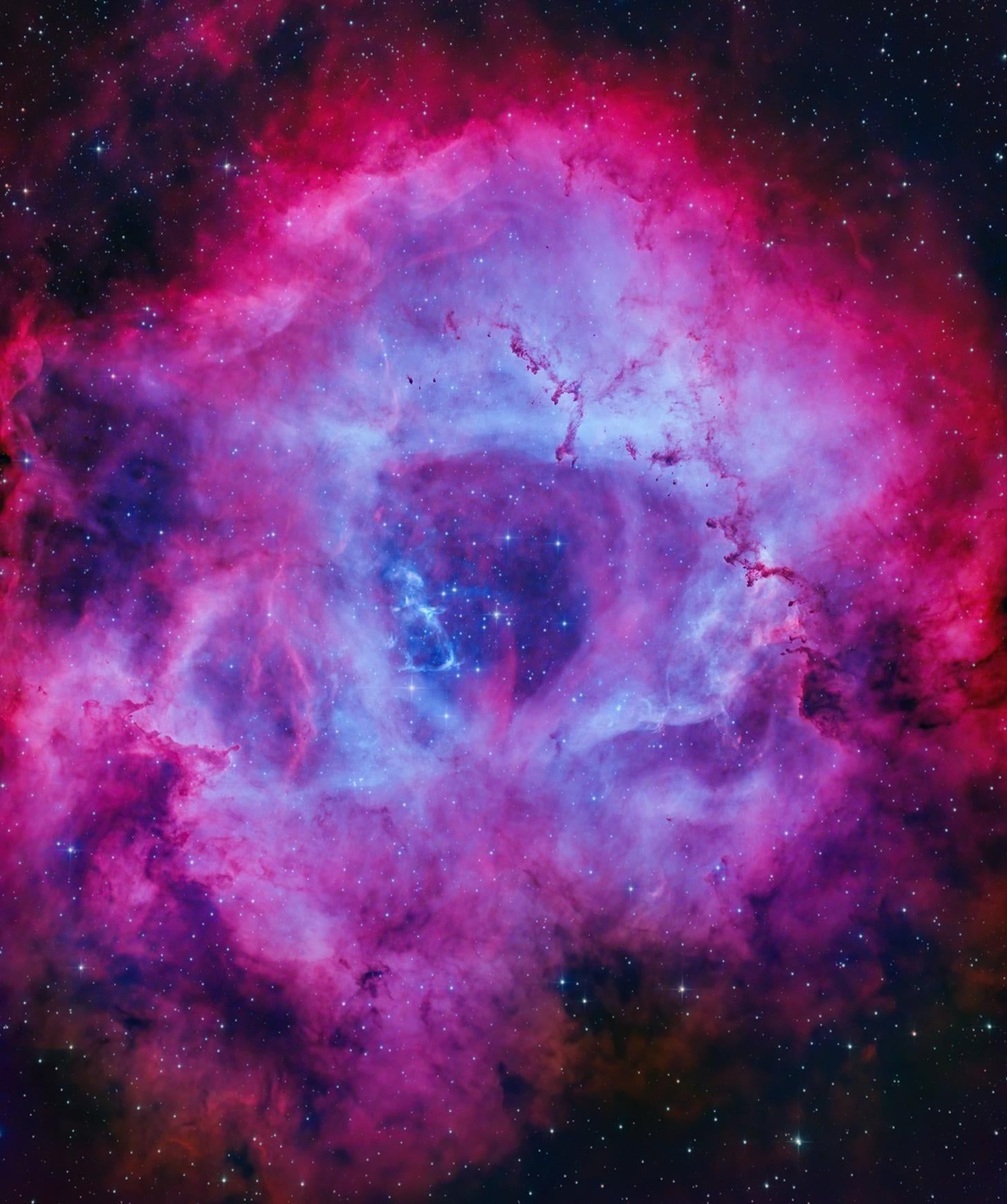 1456x1741 The Skull Nebula, a birthplace for stars, captured from my backyard