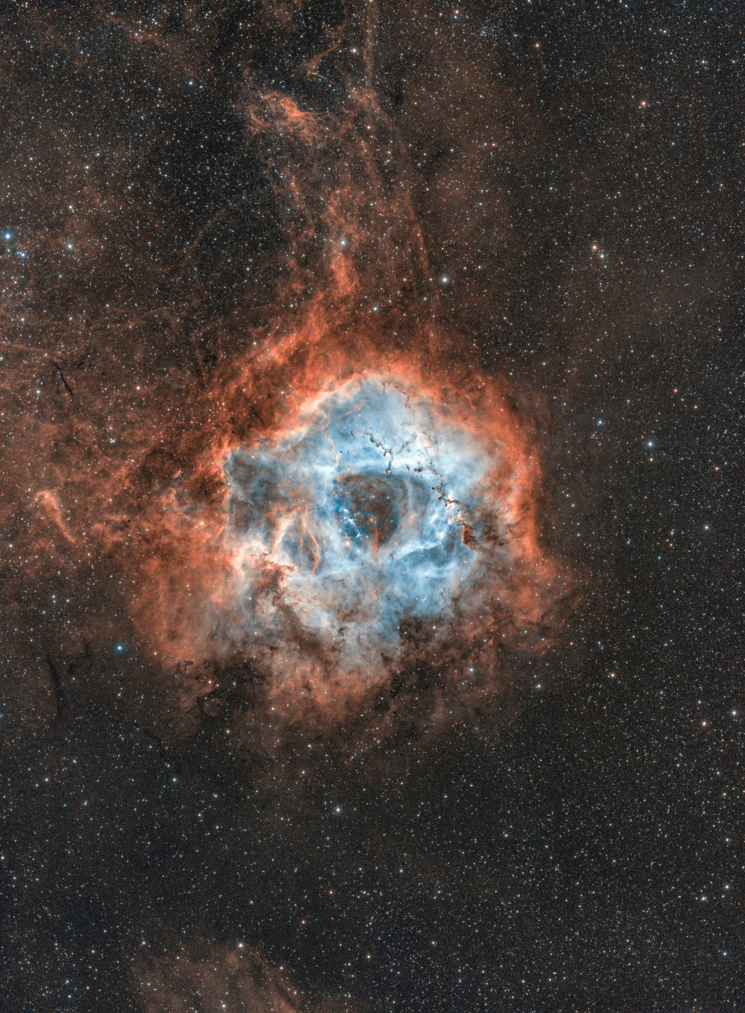 2560x3479 Skull Nebula Wallpaper