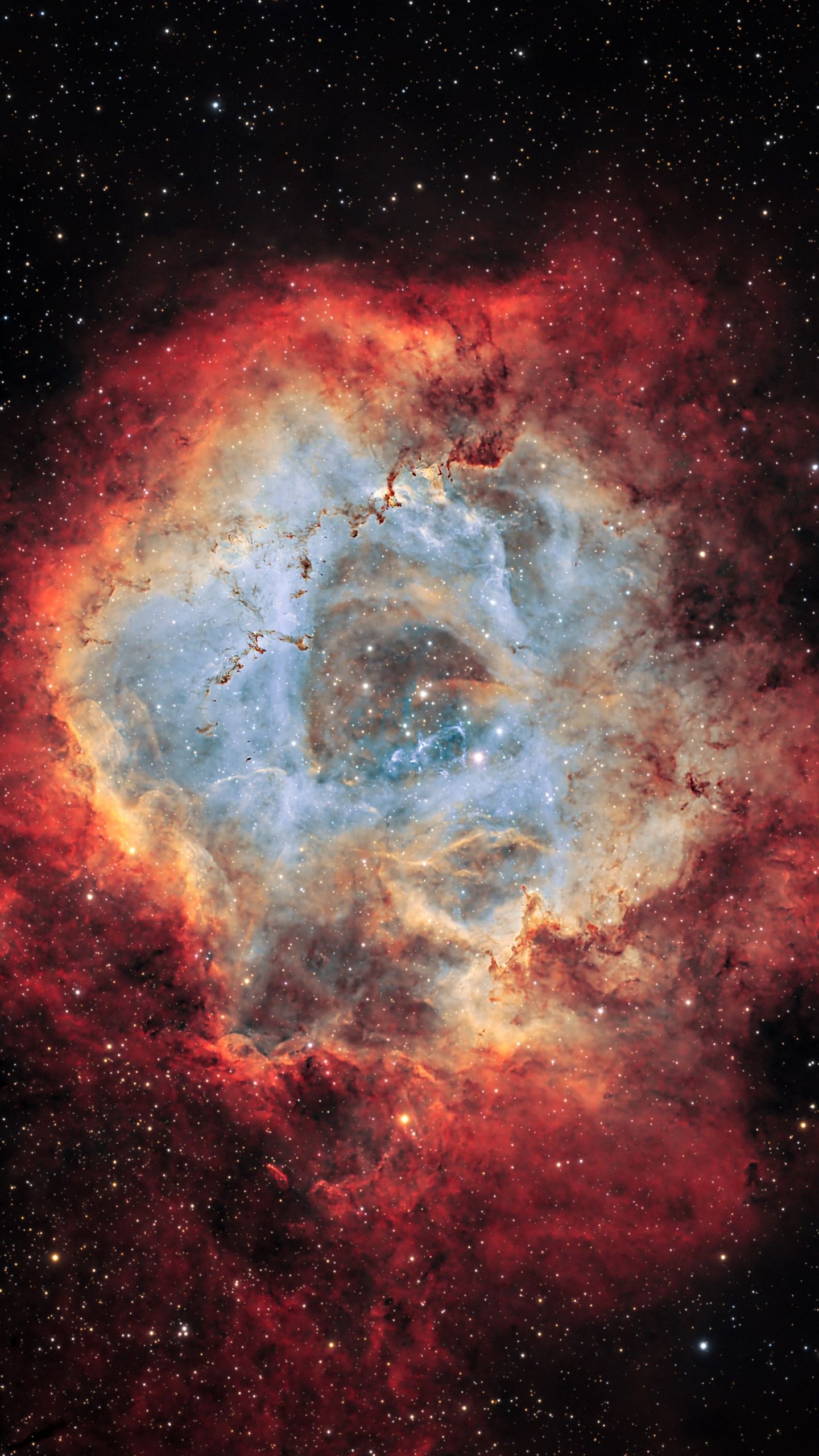 1440x2560 Skull Nebula Wallpaper