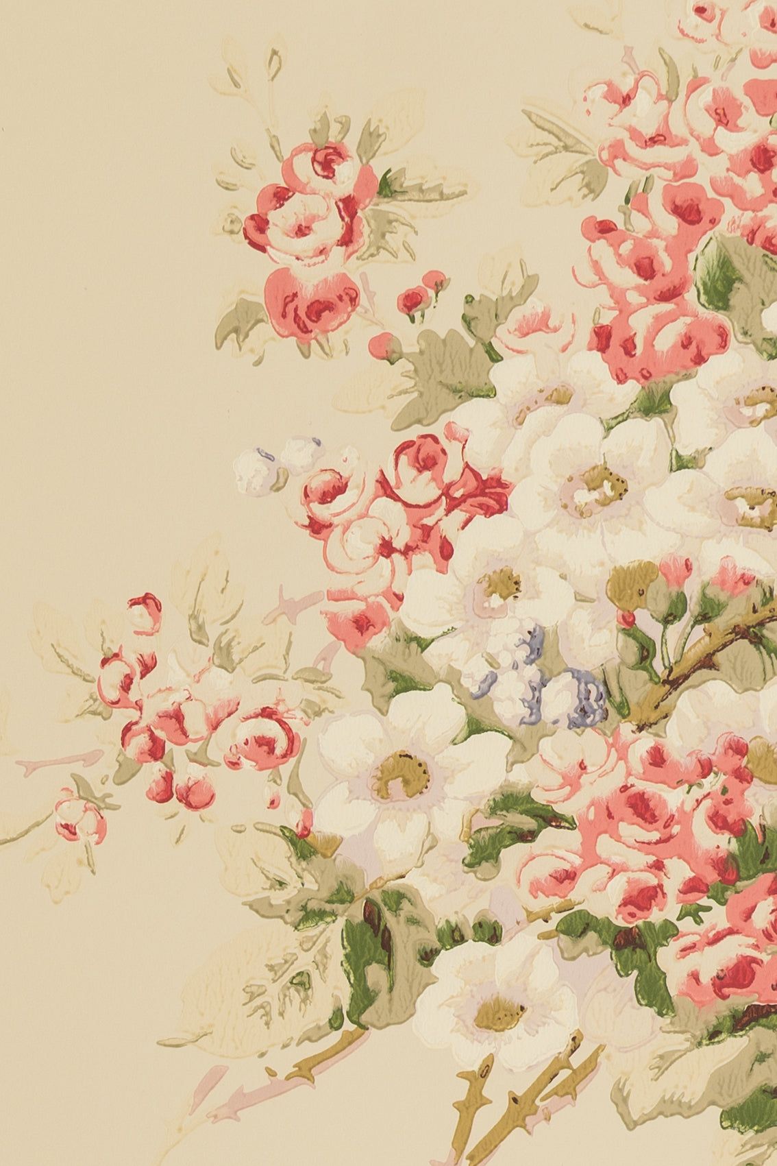 1134x1701 BRIAR ROSE wallpaper