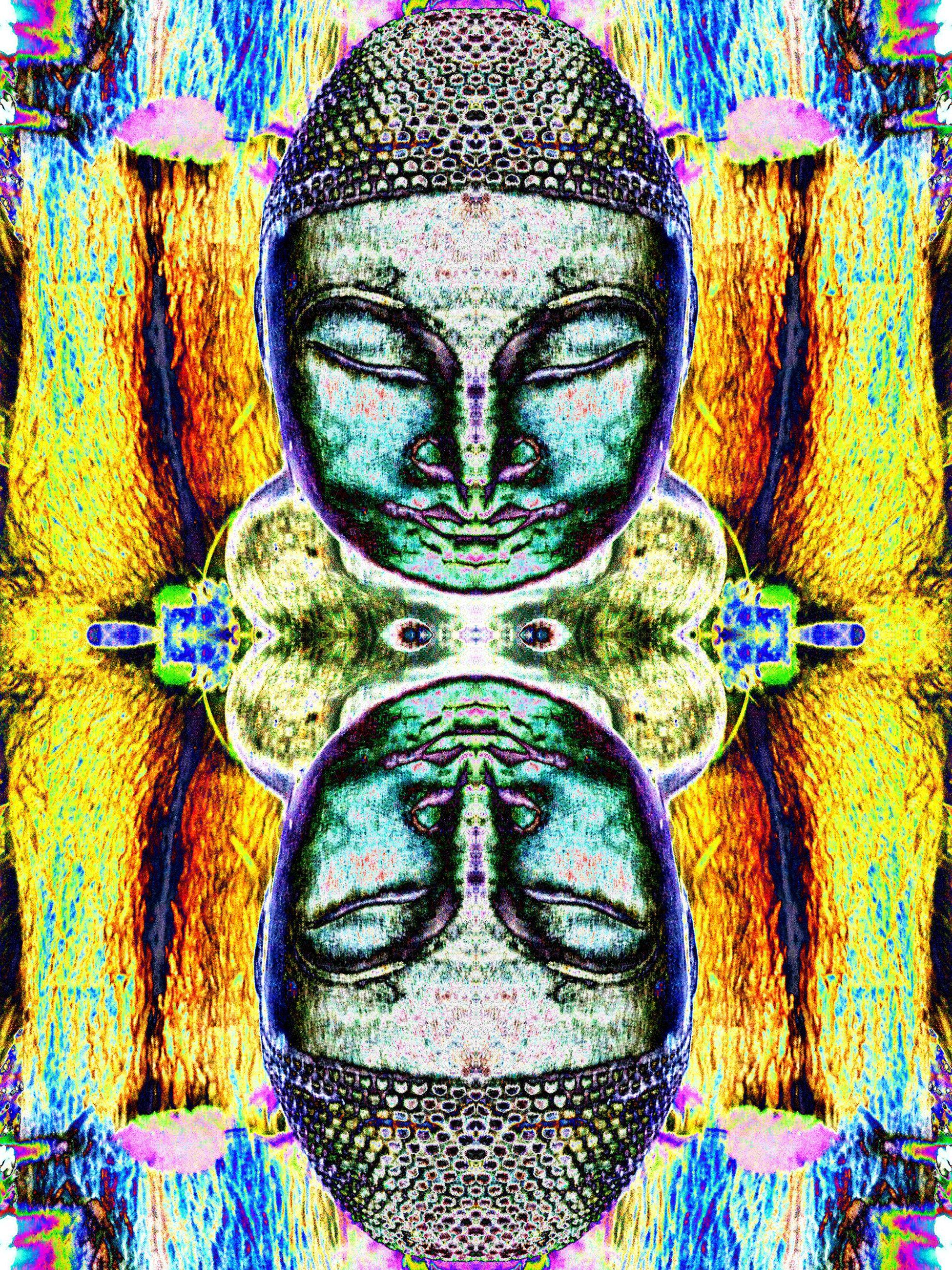 1950x2600 Buddhas in the Garden: Psychedelic Art for Back Yard Statuary Freaks. Electric Stone Head Siddhartha Digs The Big Groove. Sacred Square: Inner Journeys in the Outer World