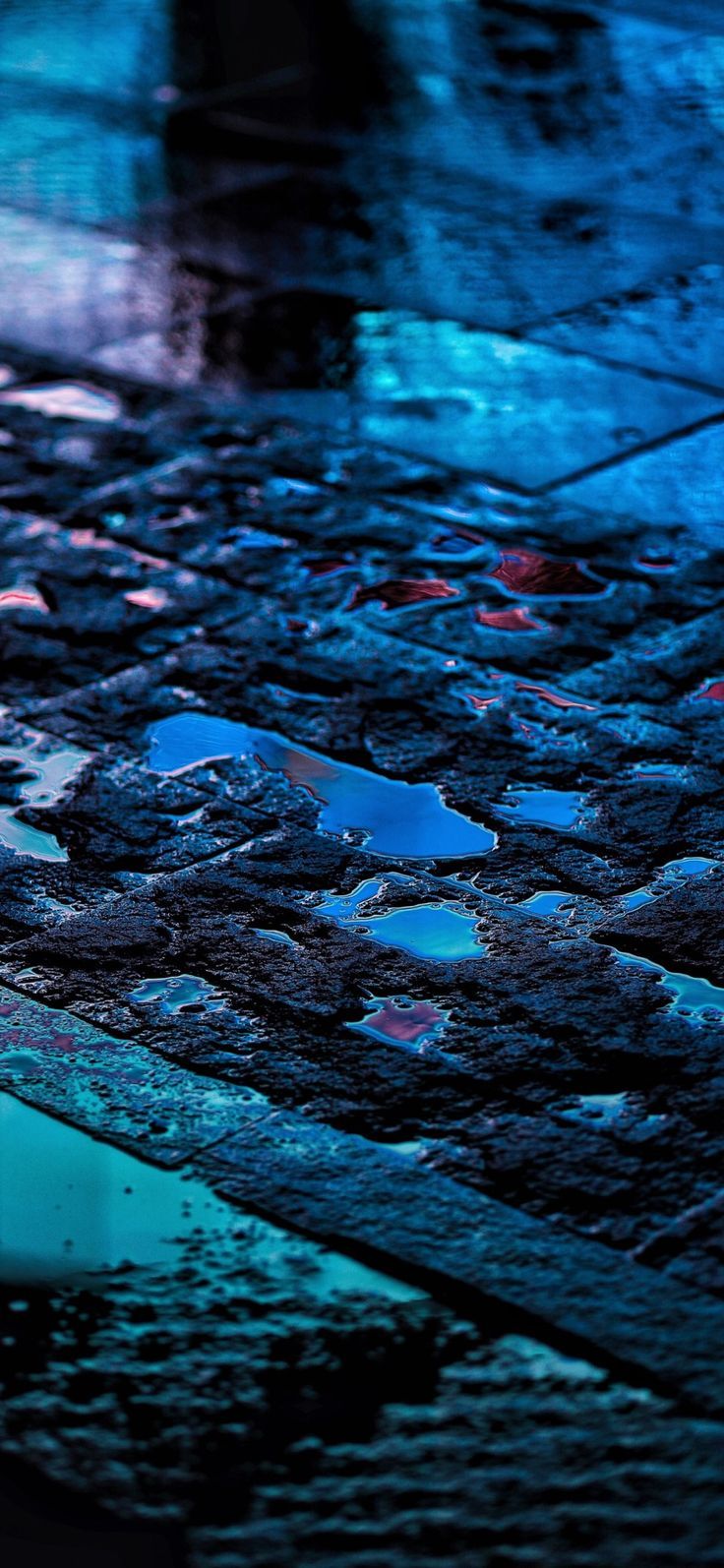 736x1594 Blade runner blue. Reflections in puddles wallpaper, Cyberpunk rain background, Bckground