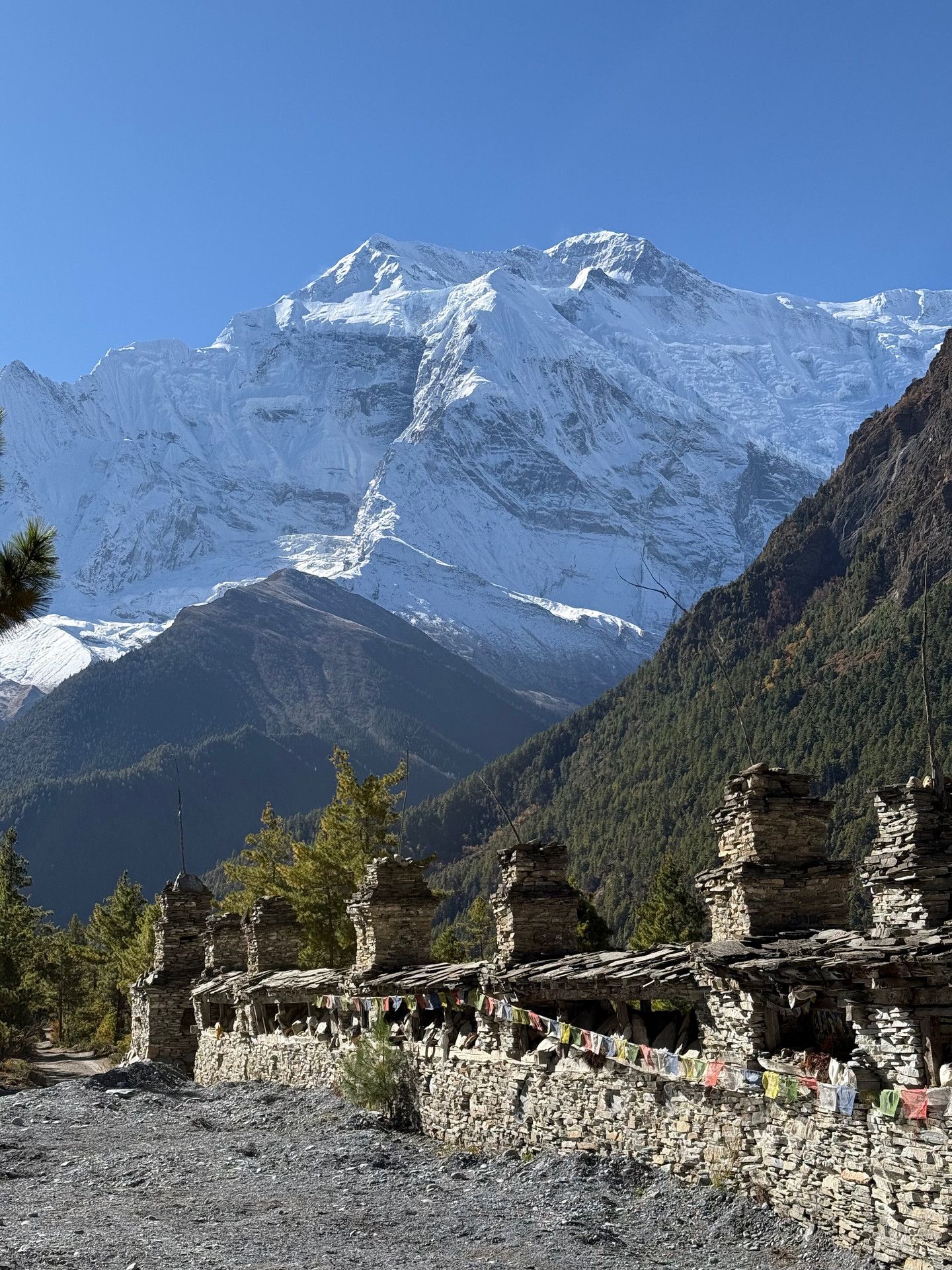 1440x1920 Memorable Annapurna Circuit and Poon Hill Trek