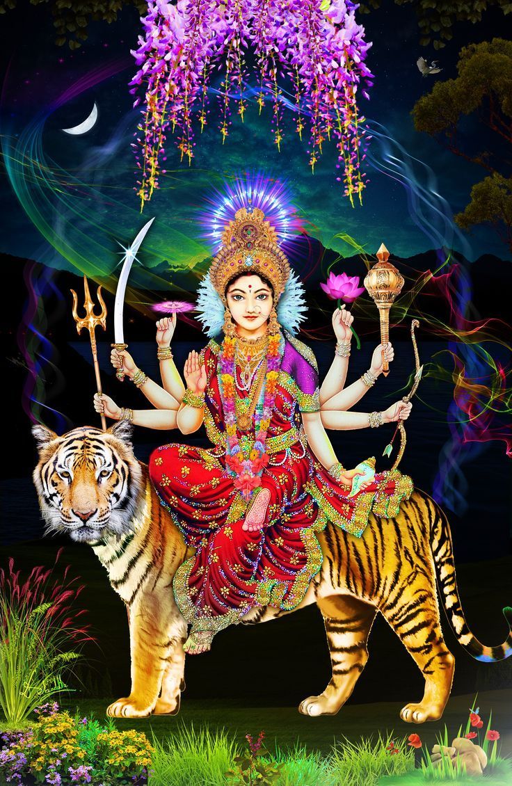 736x1130 Ambaji Durga Sherawali Maa