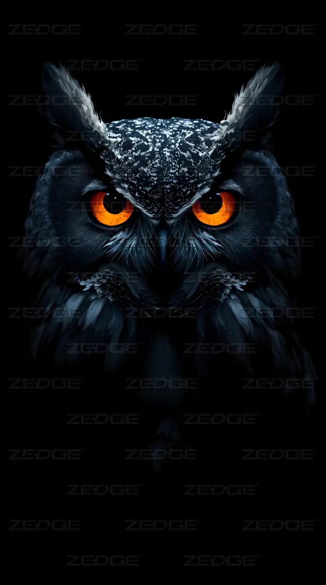 673x1206 Black Owl wallpaper