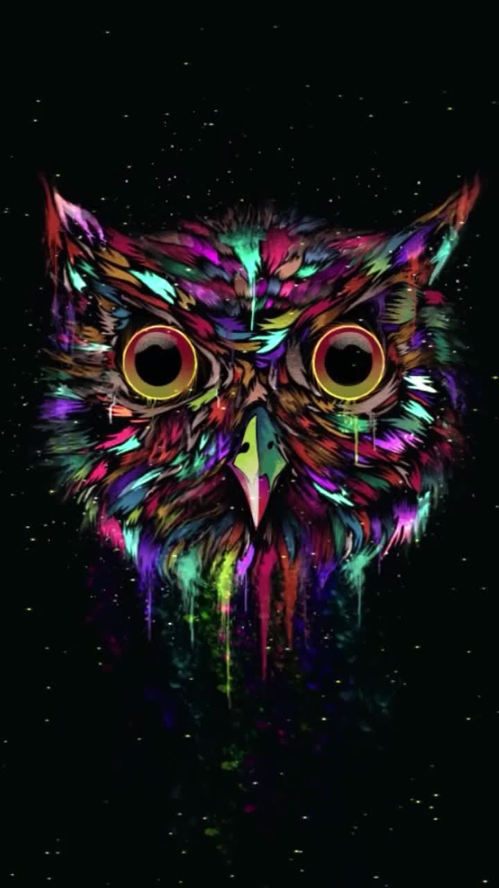 720x1280 iPhone and Android Owl Paint Minimalist Live Phone Live Wallpaper